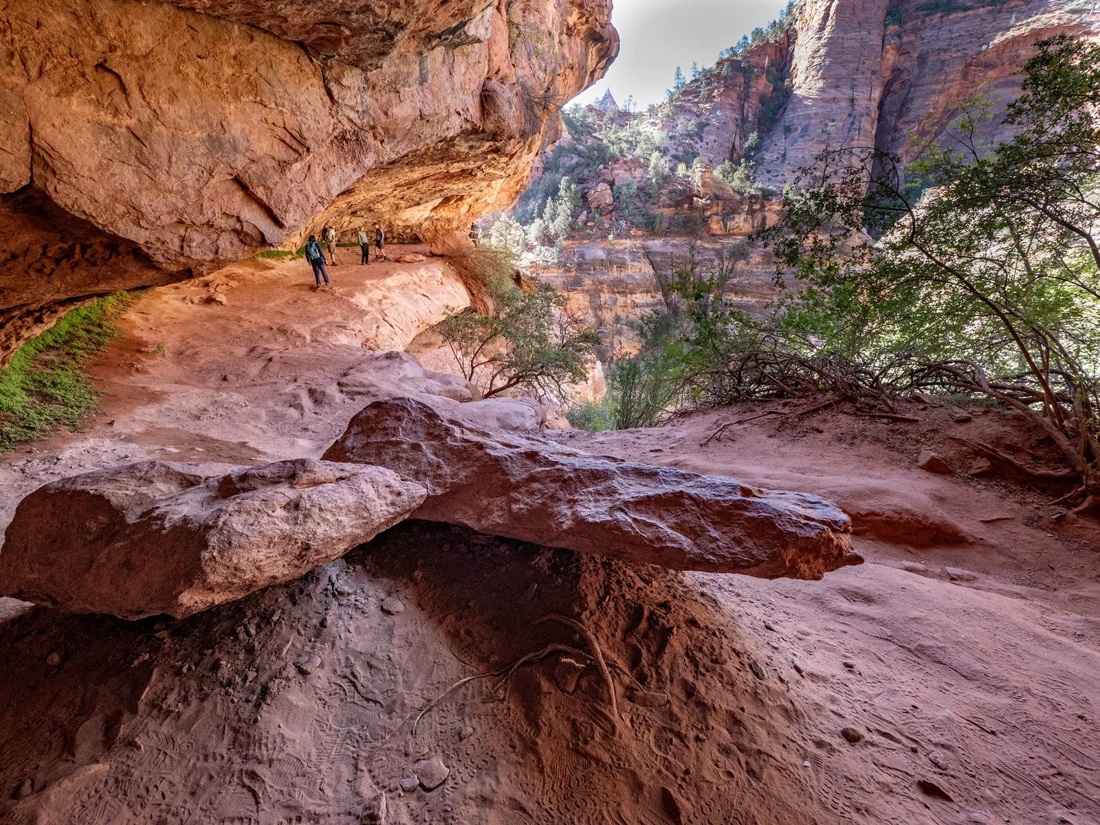 Zion Overlook Trial rocks