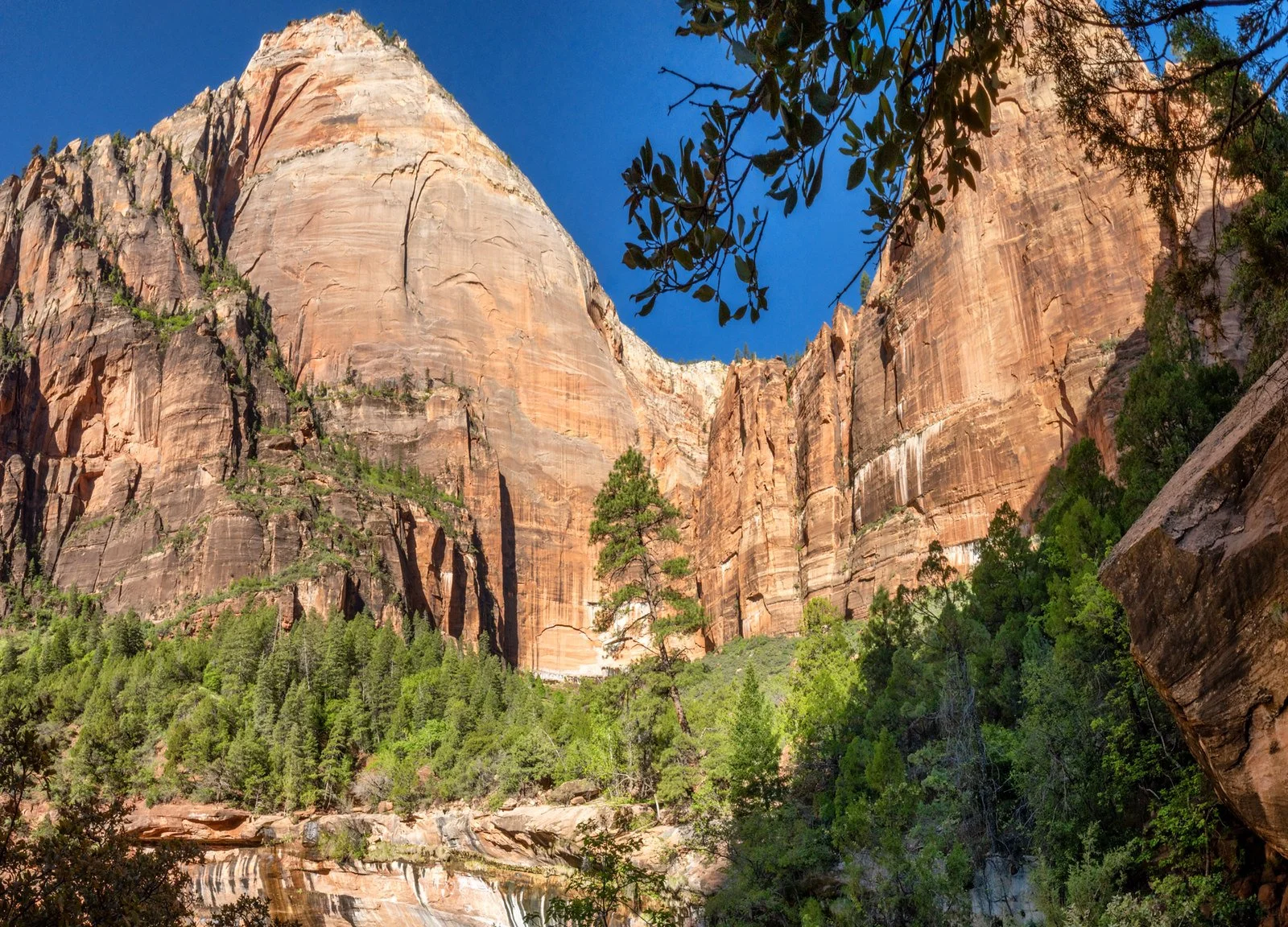 Zion Wall