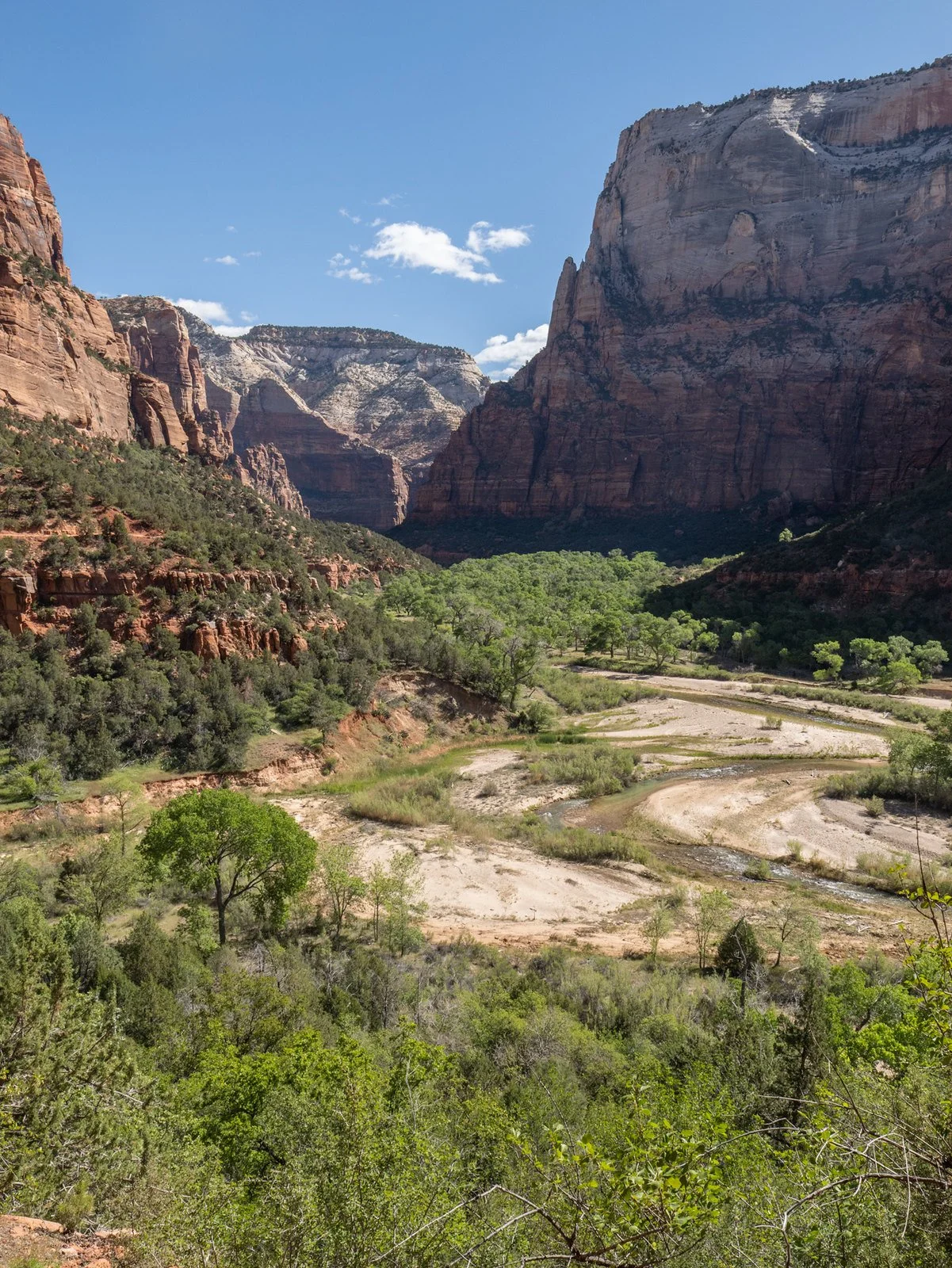 Zion Trail hike