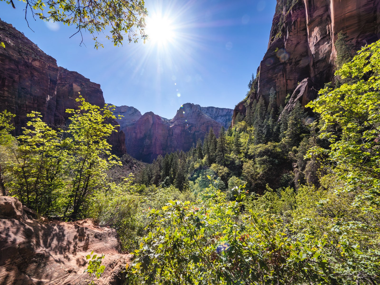 Zion Trail