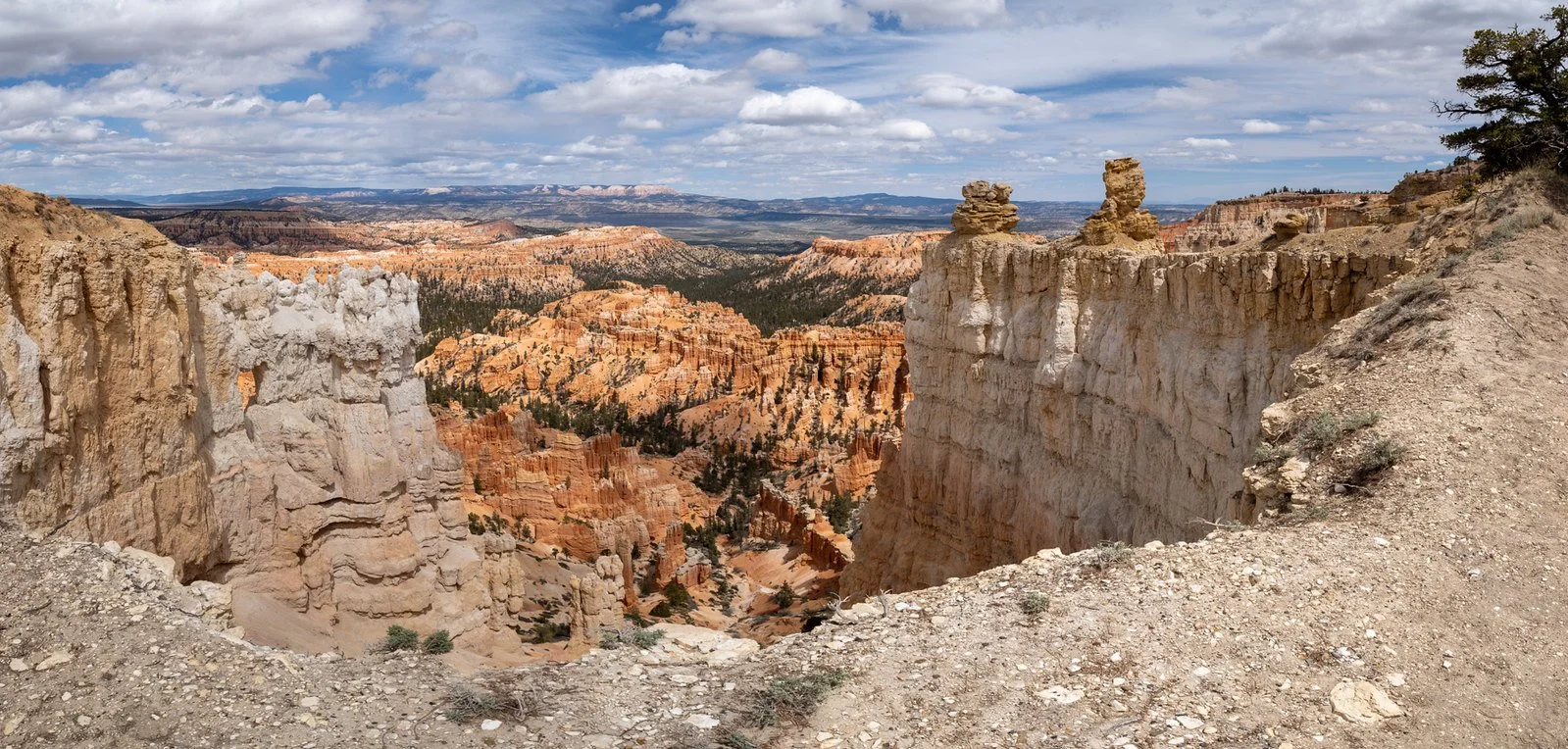 Bryce Overlook