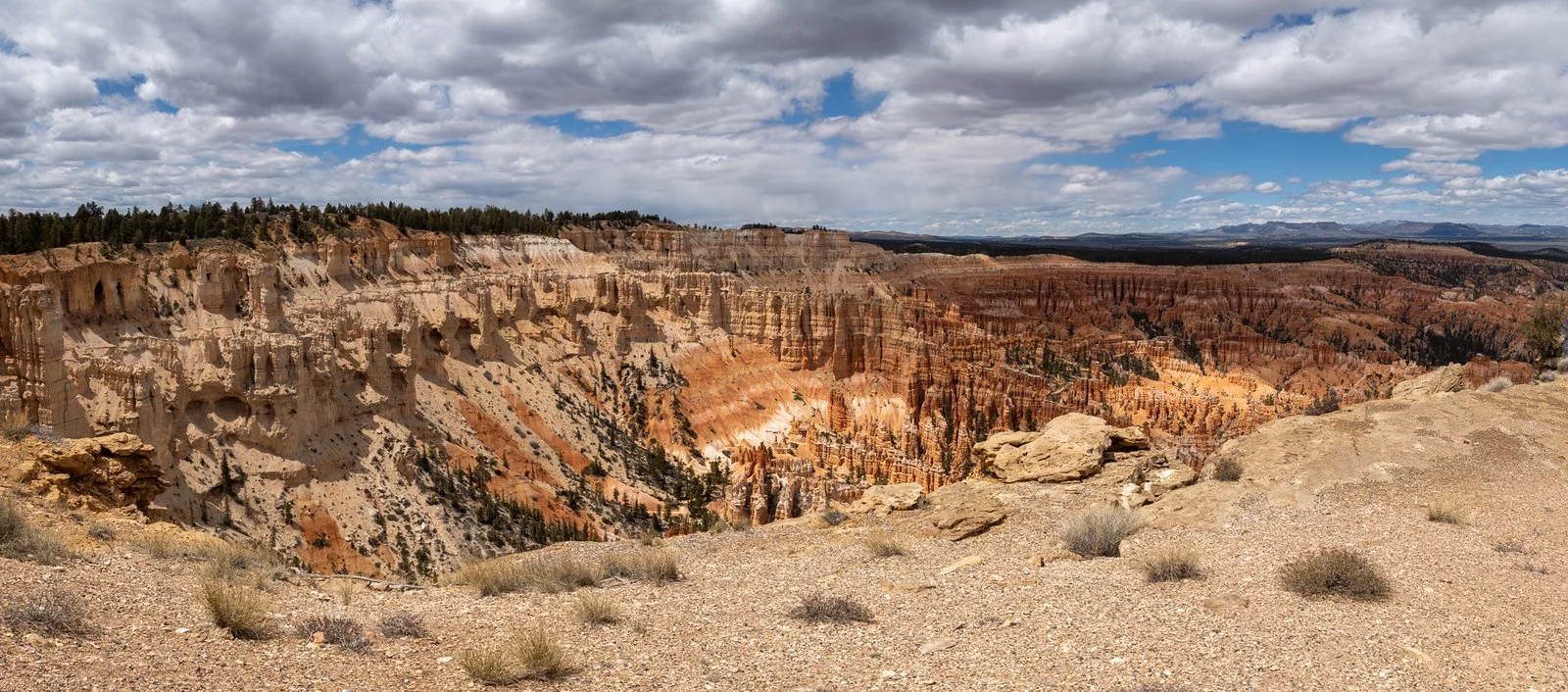 Bryce wide