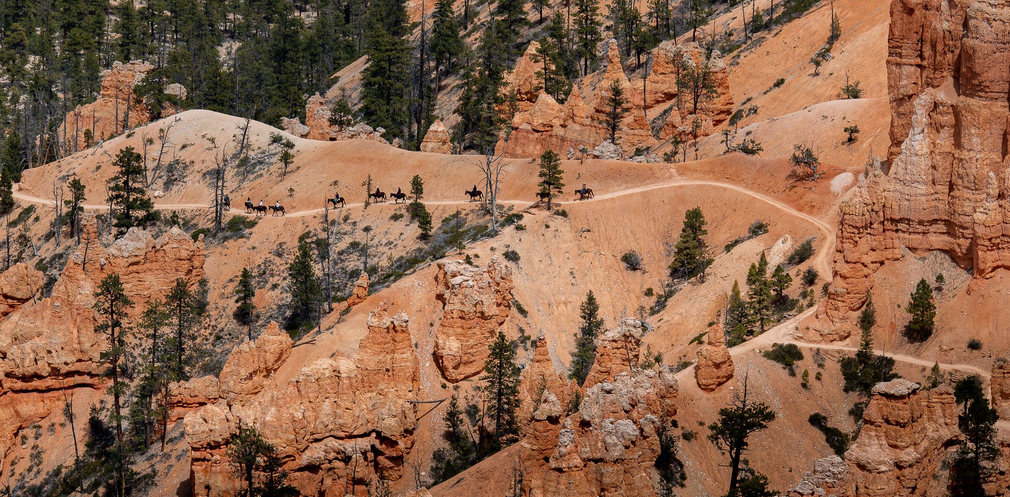 Trail riding