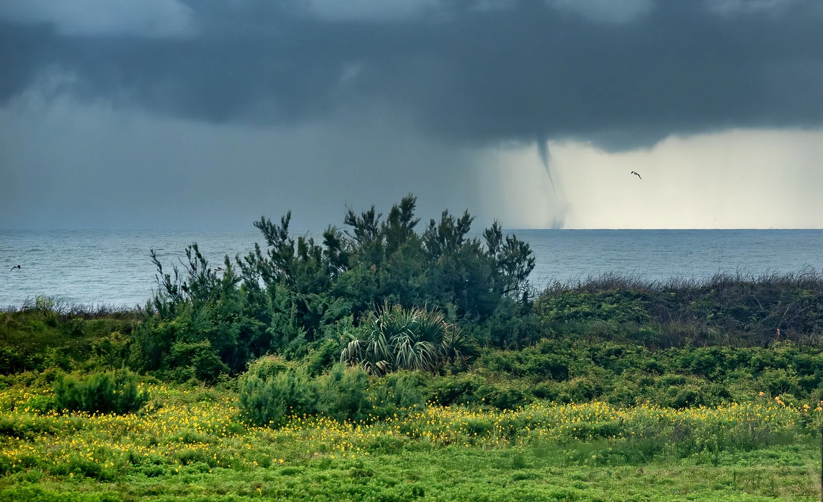 waterspout