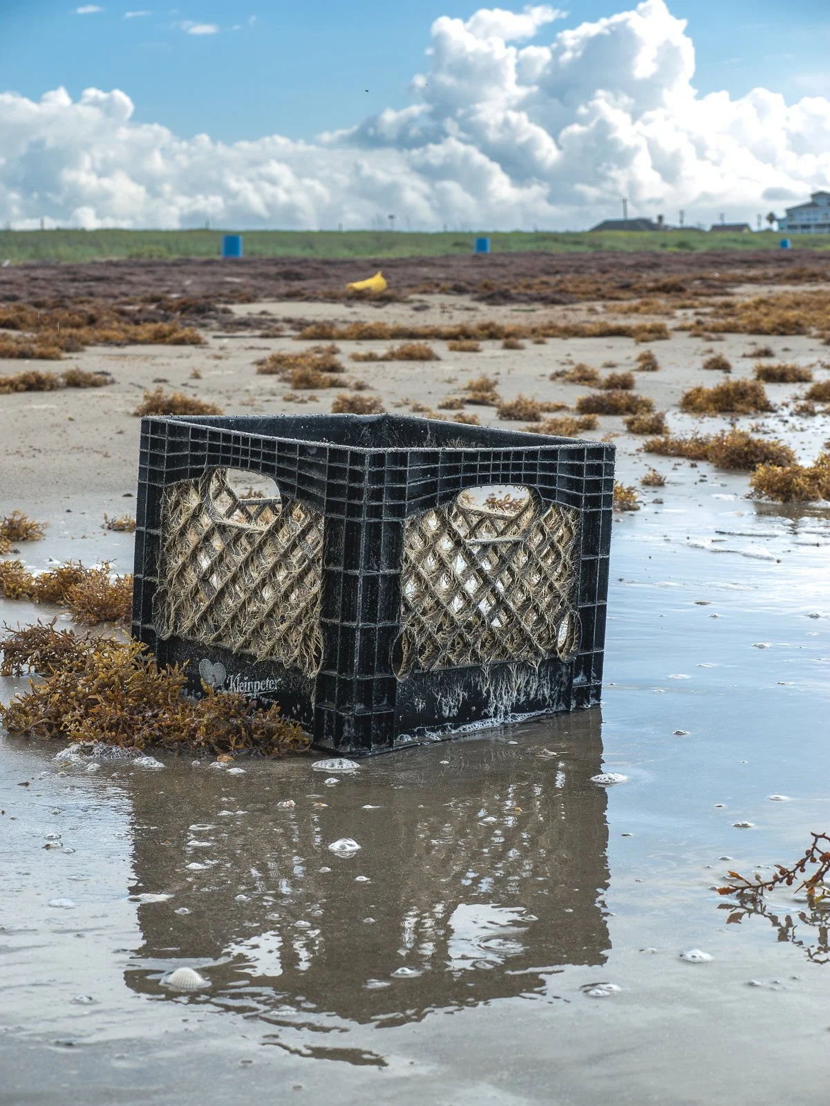 Crate