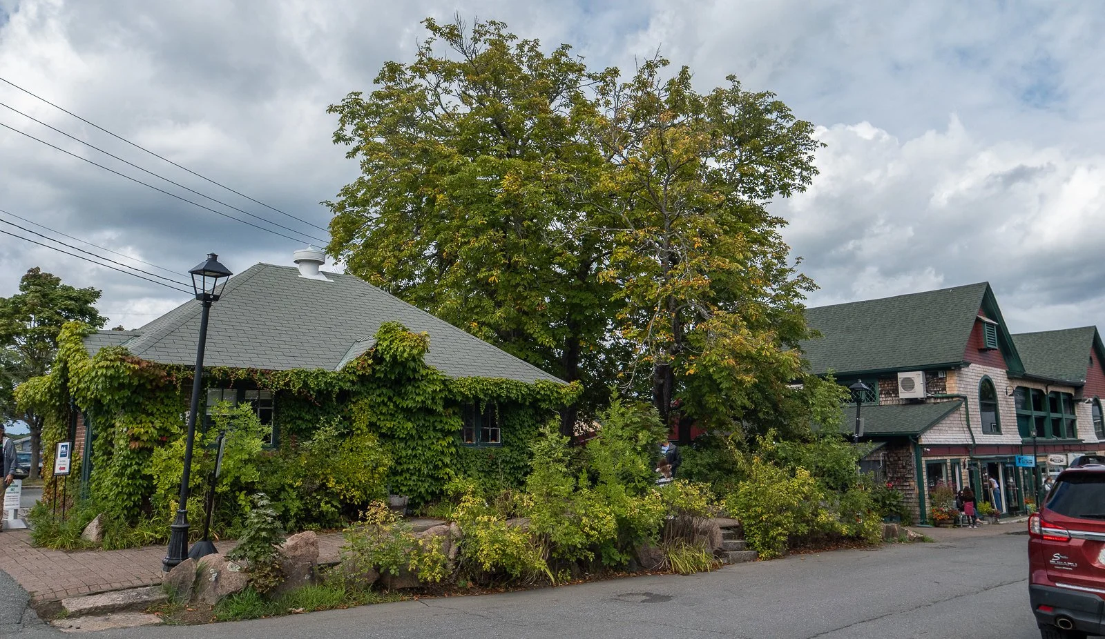 Ivy House