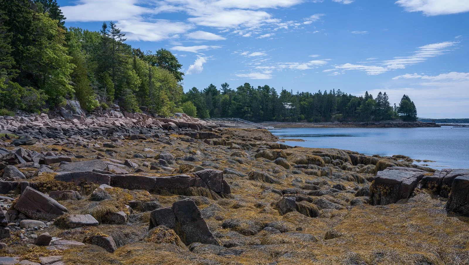Low Tide