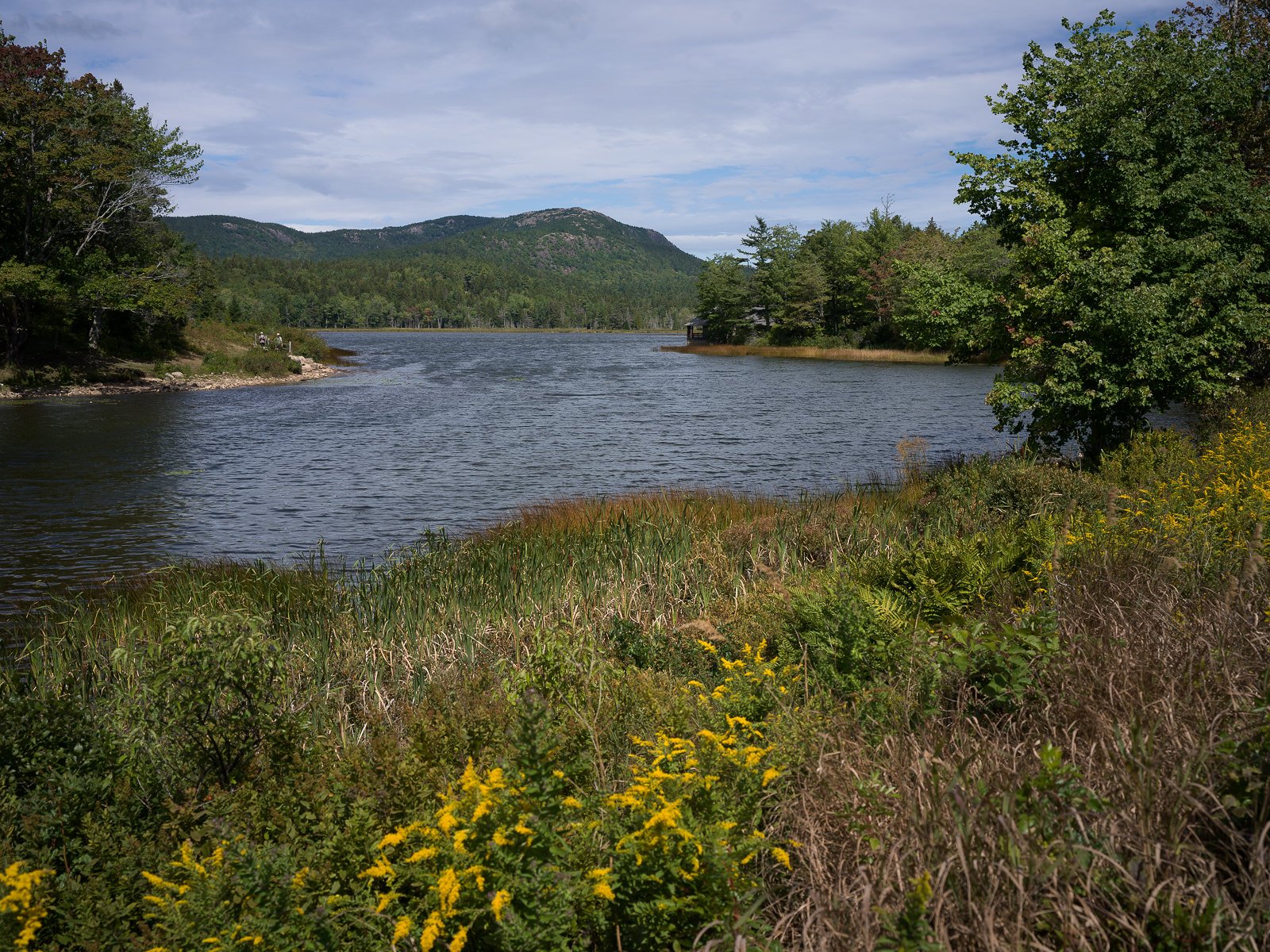 Long Pond
