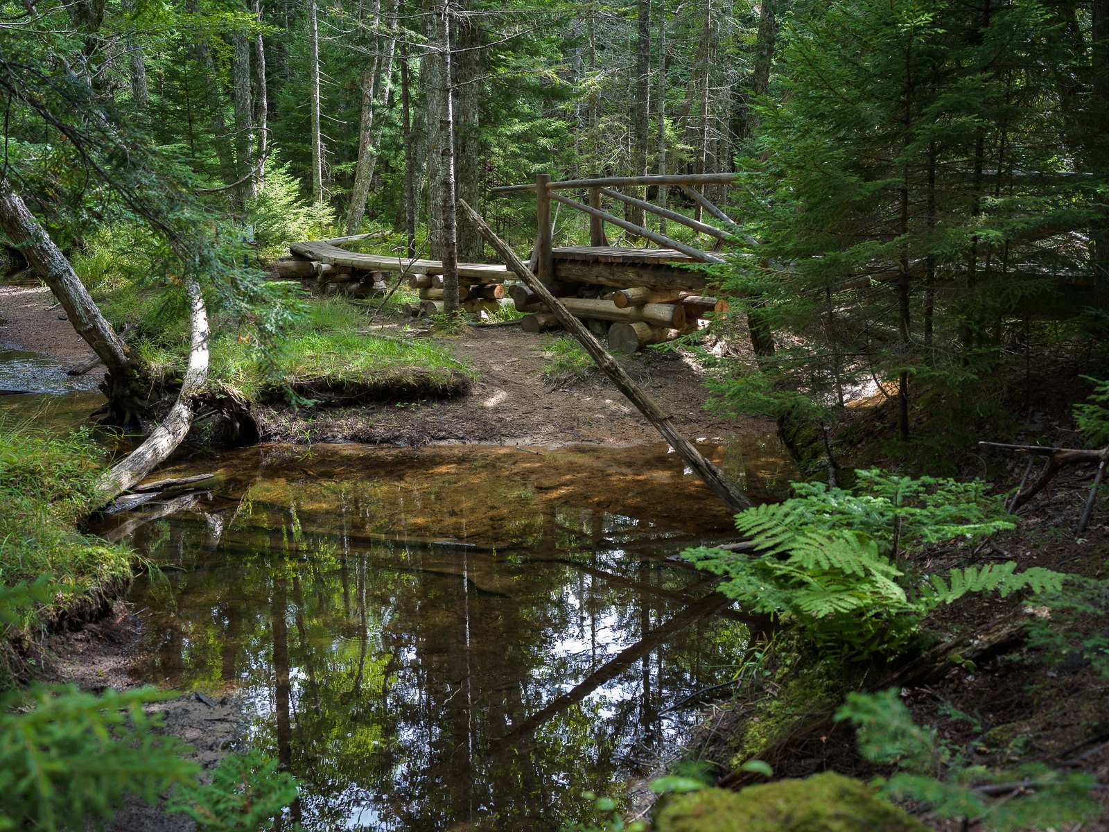 Walking Bridge