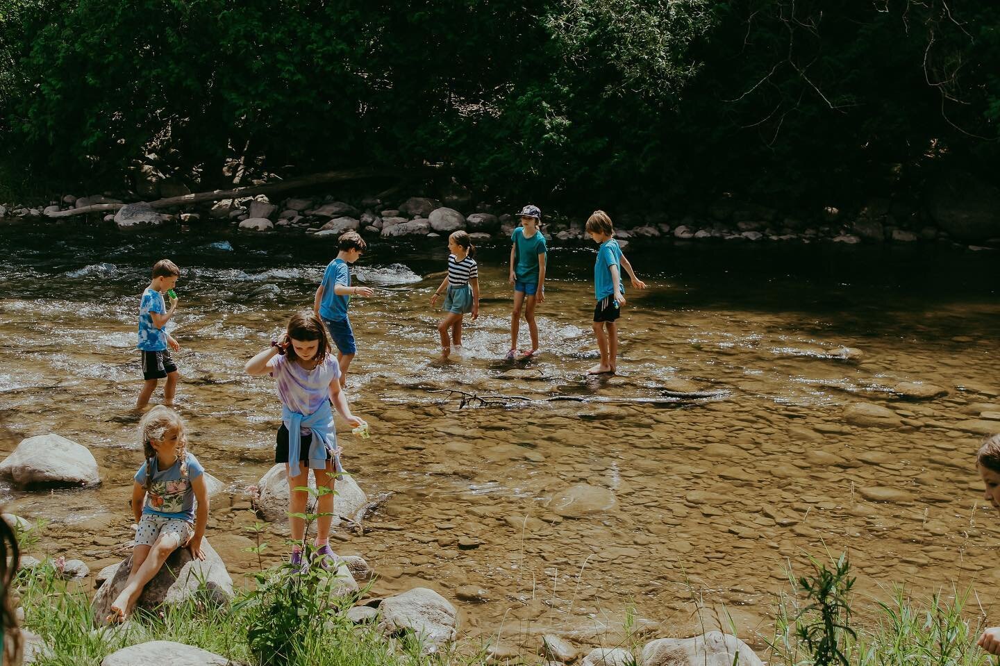 Check your inbox if you are part of my newsletter community. I shared my thoughts on the one thing we don&rsquo;t talk about in the world of summer camps that we really should.

I&rsquo;ve also included some tips for tuning into and finding the right