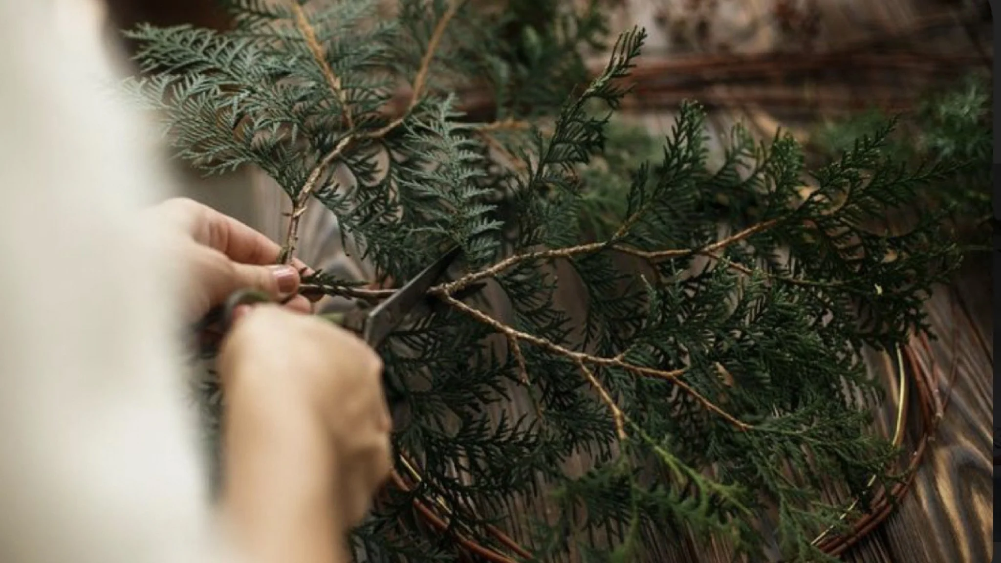 GoDaddyStudioPage-0 136.jpeg