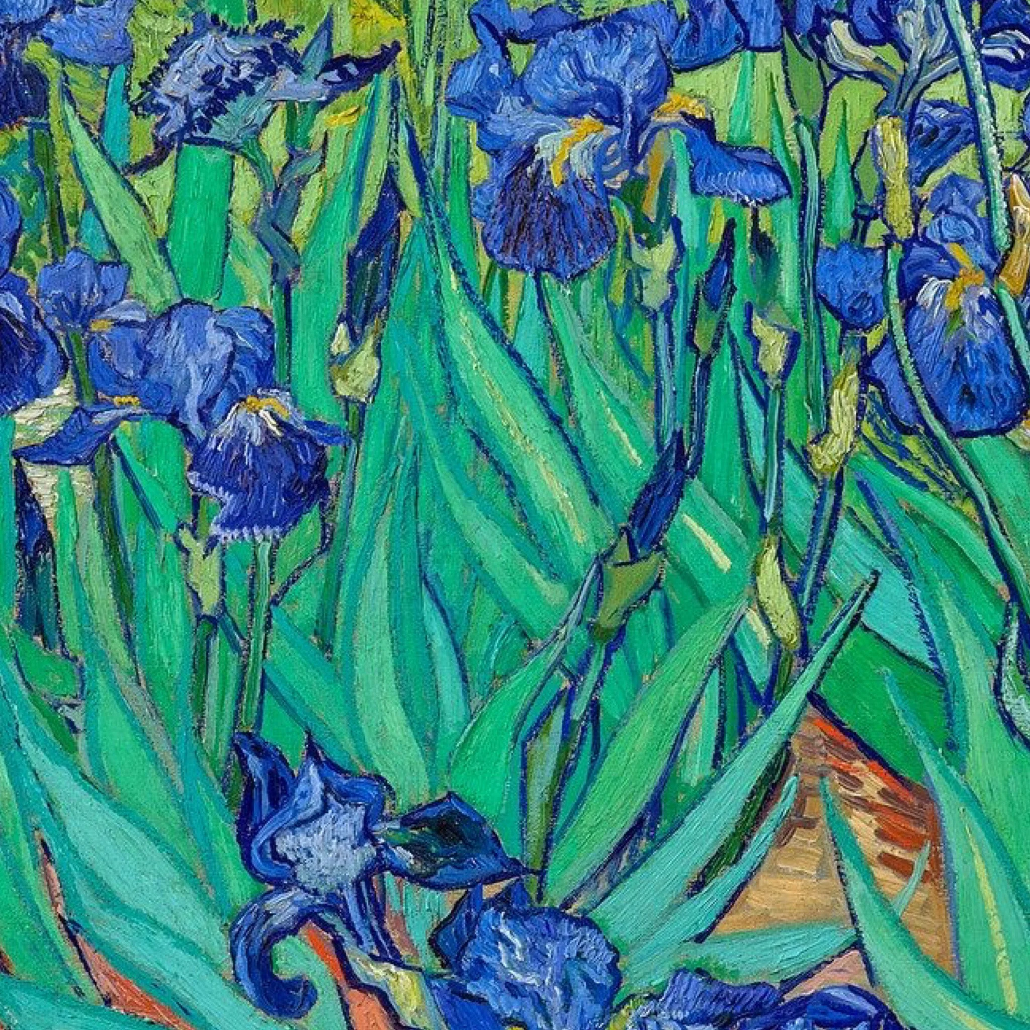 GoDaddyStudioPage-0 120.jpeg