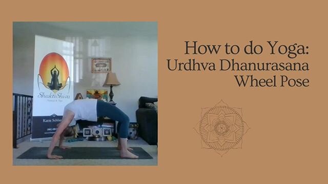How to do Yoga: Urdhva Dhanurasana / Wheel Pose
Ugh, my arch enemy!  That is until I received some great instruction from my teacher, Sara Strother, and this pose went from forced and crunched to open and strong.  Wheel is still a challenge for me bu