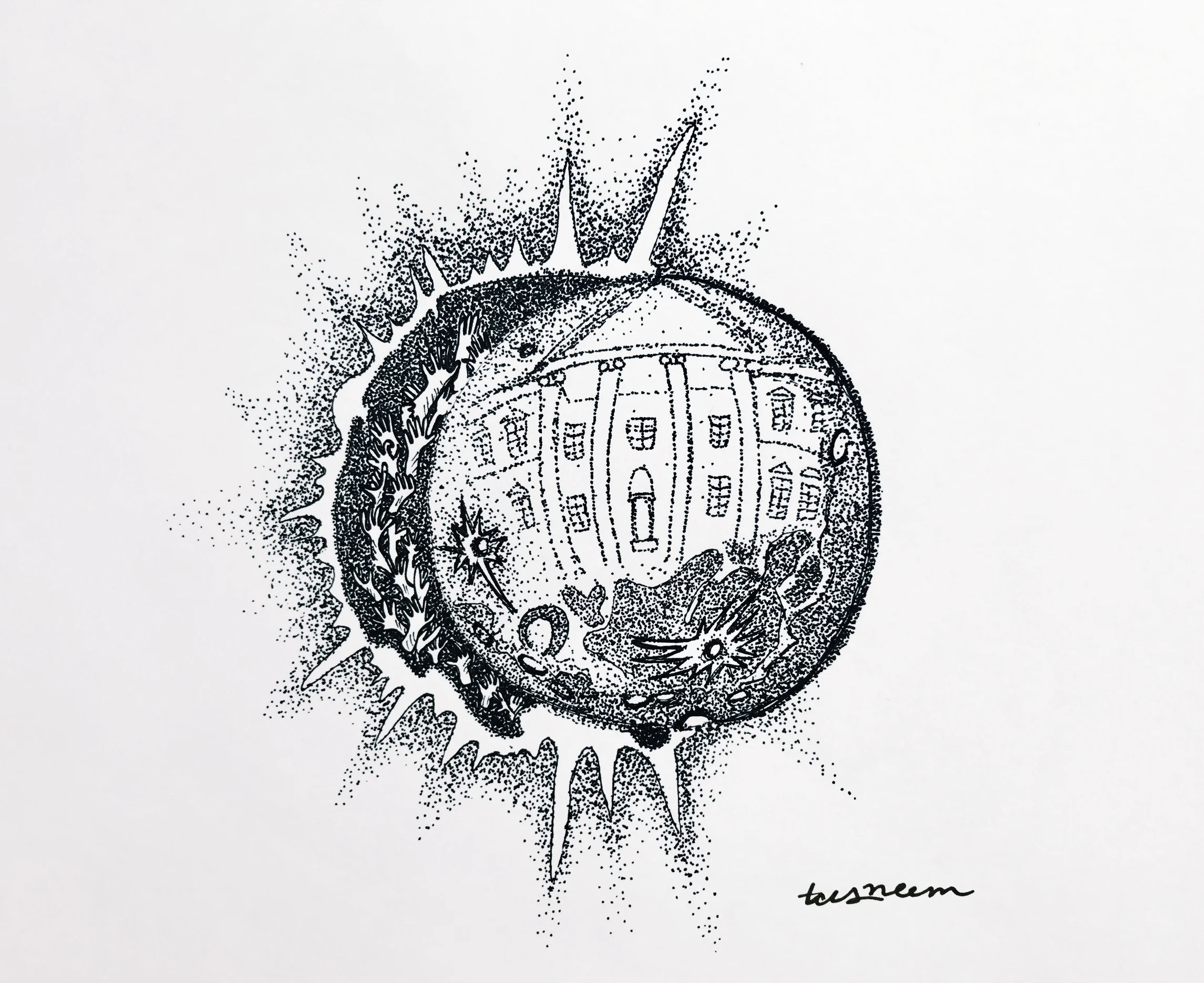 total eclipse 2017 2.jpg