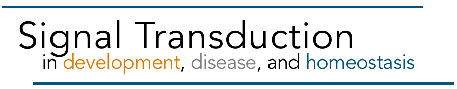 Screen Shot 2018-03-29 at 12.42.39 PM.png