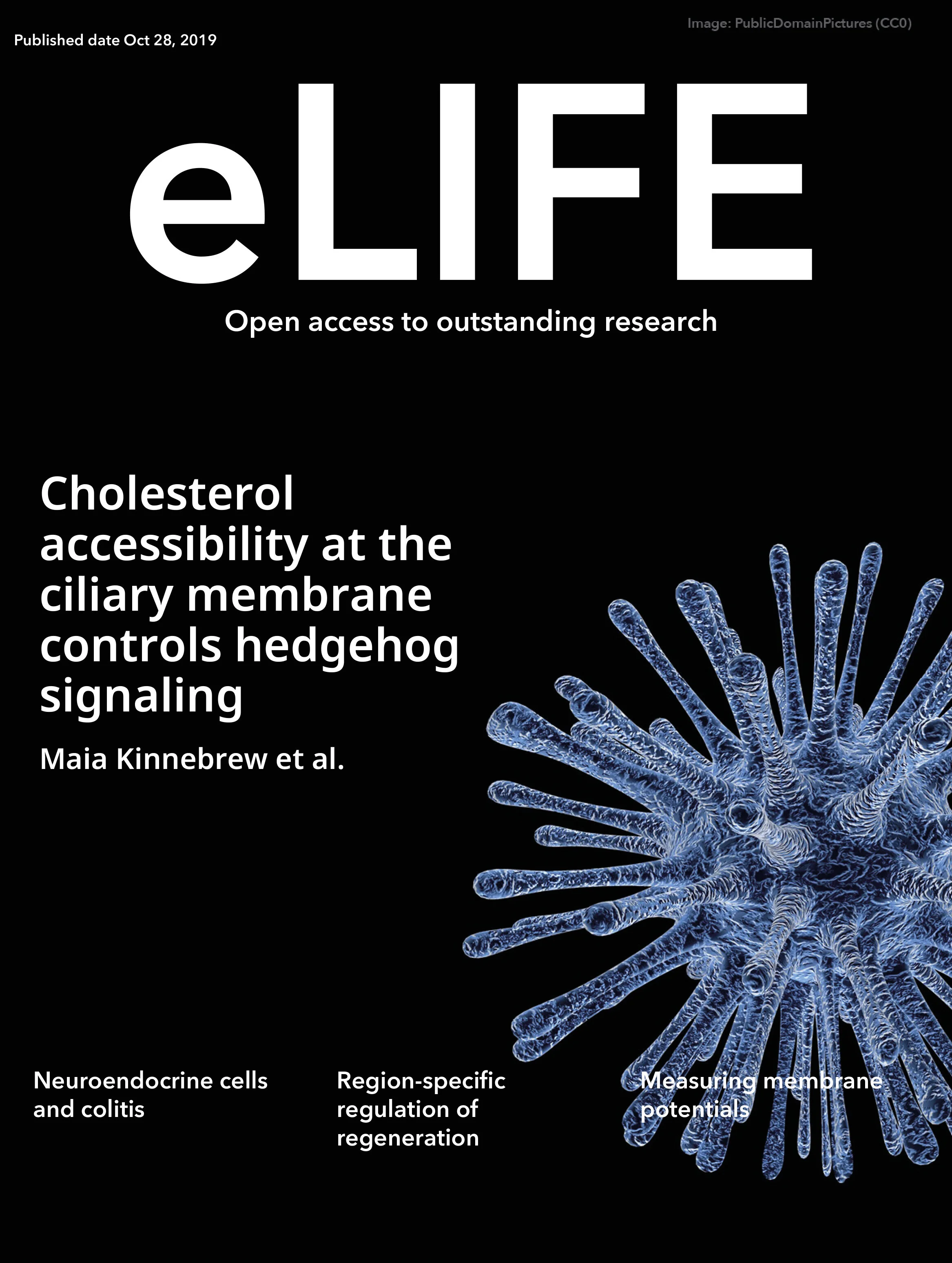 Maia's eLife paper_poster.jpg