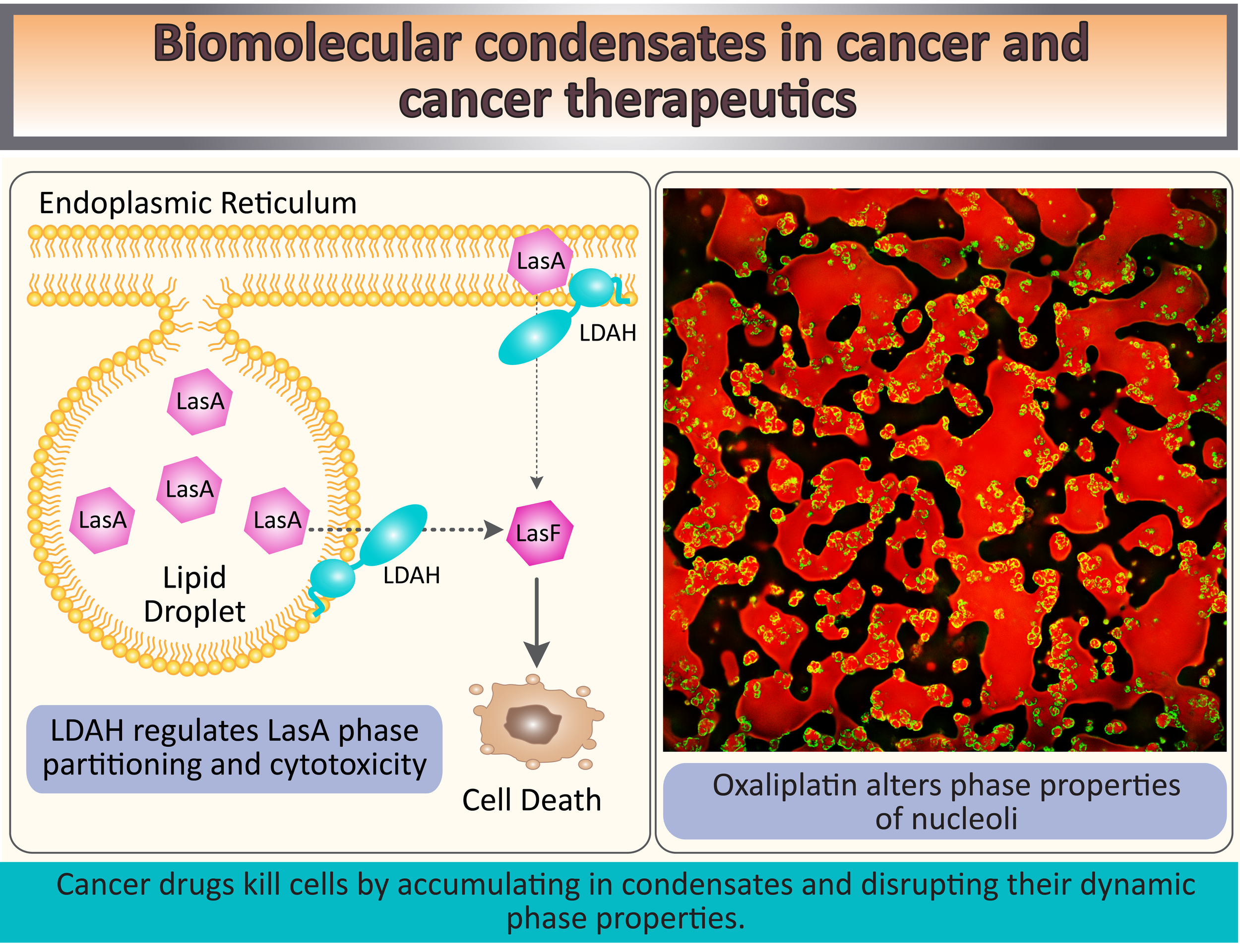 for lab website_2021_slide 3-01-01.png