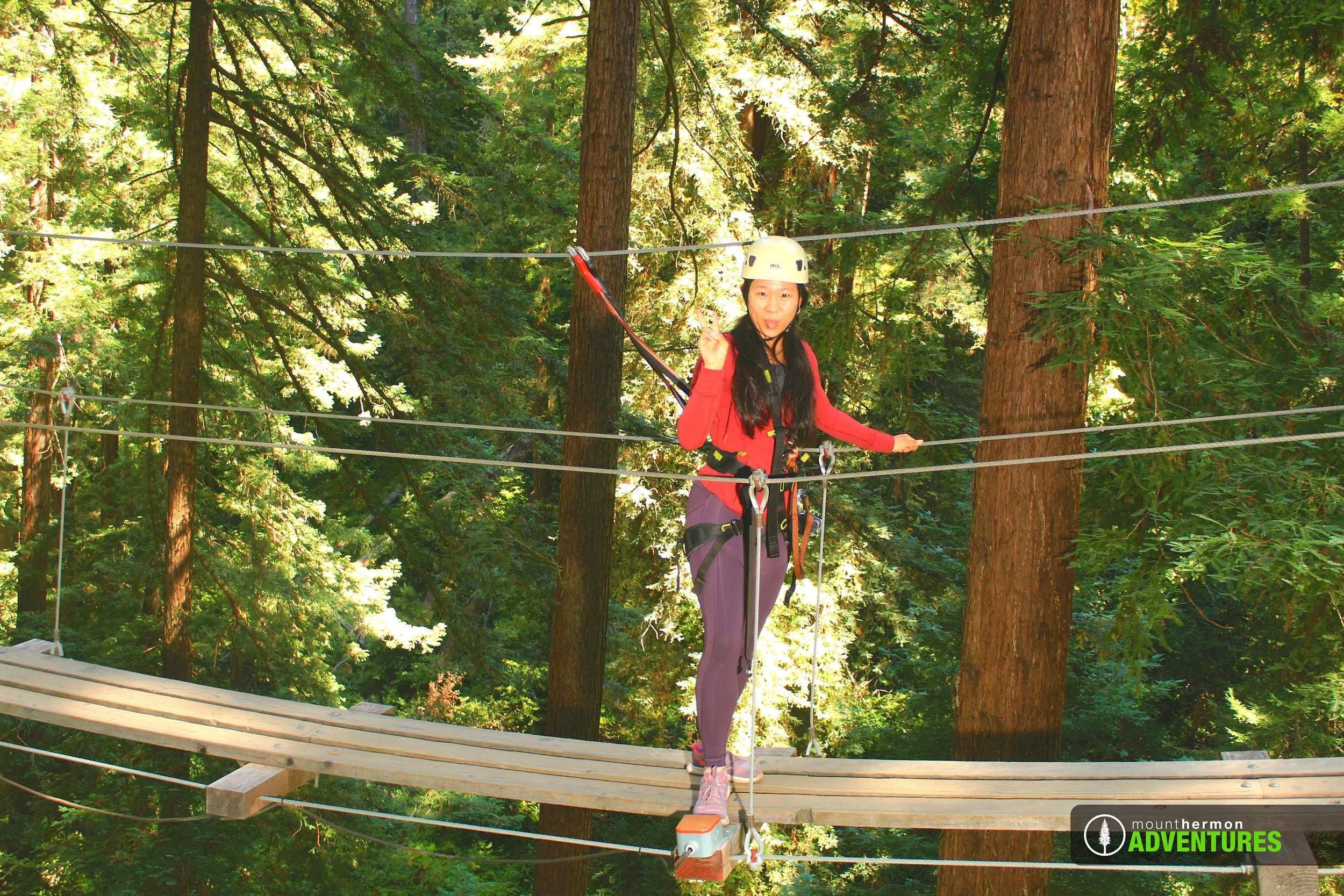 sequoiabridge_1785175561544_121.jpg