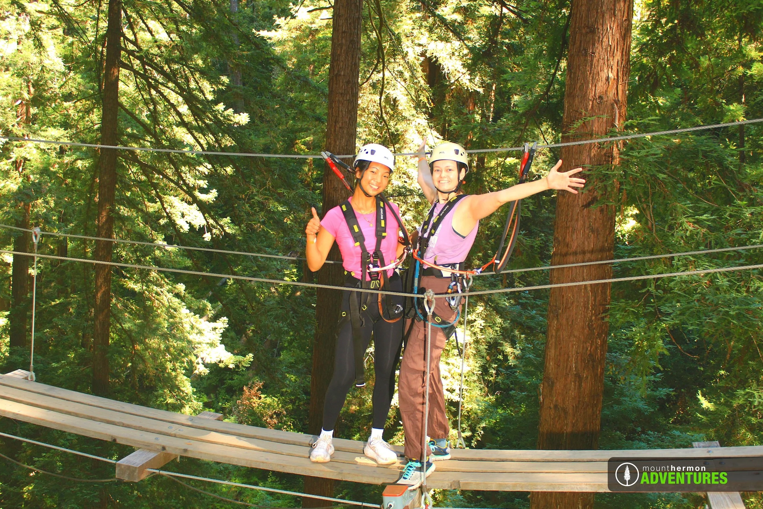 sequoiabridge_1785175321591_121.jpg