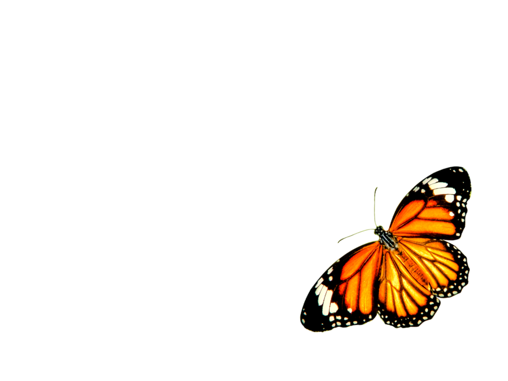 Monarch Salon.003.png