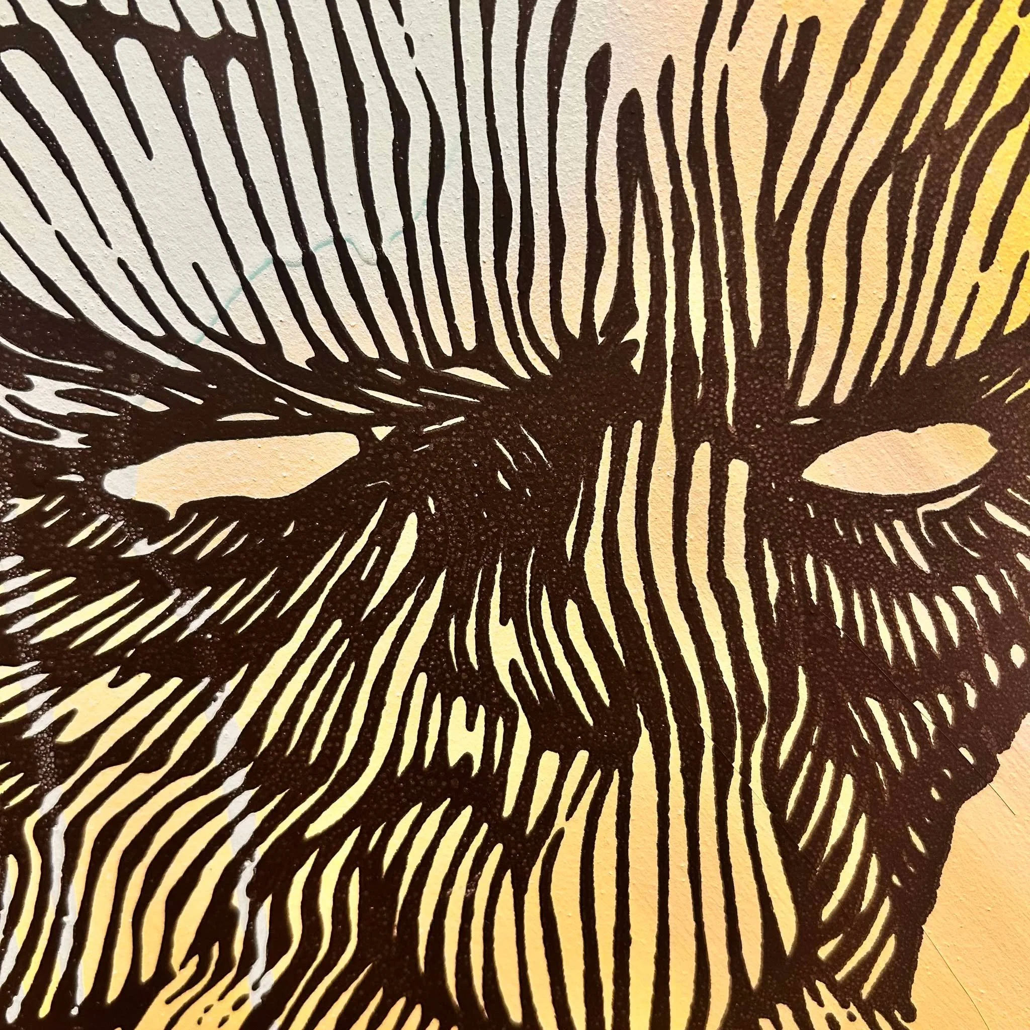 465951597_943857333821079_8244242010836467107_n.jpg