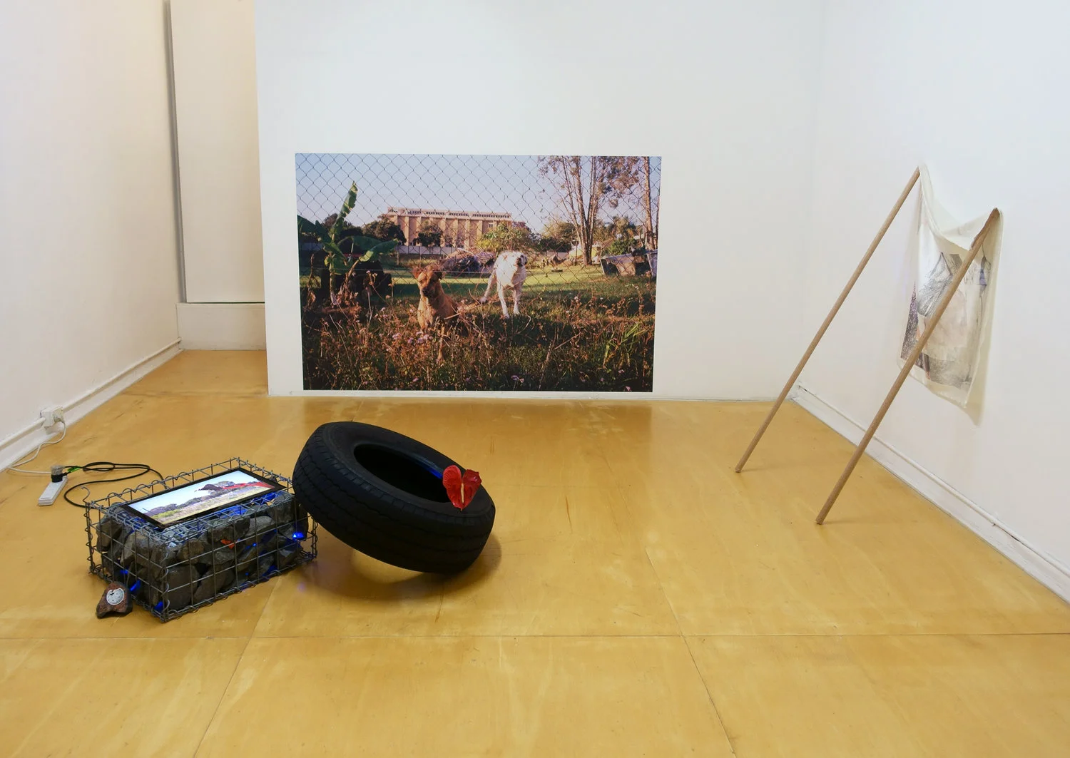 otoño at KNULP curated by Dylan Batty with Athena Thebus and Kalanjay Dhir Documentation courtesy of KNULP / Alex Gawronski