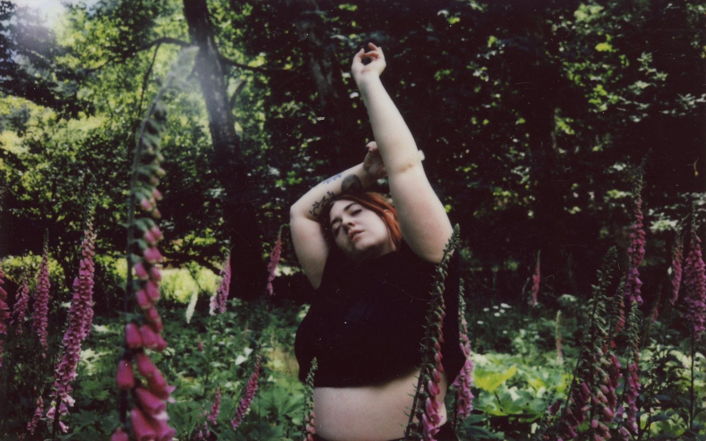 img036.jpg