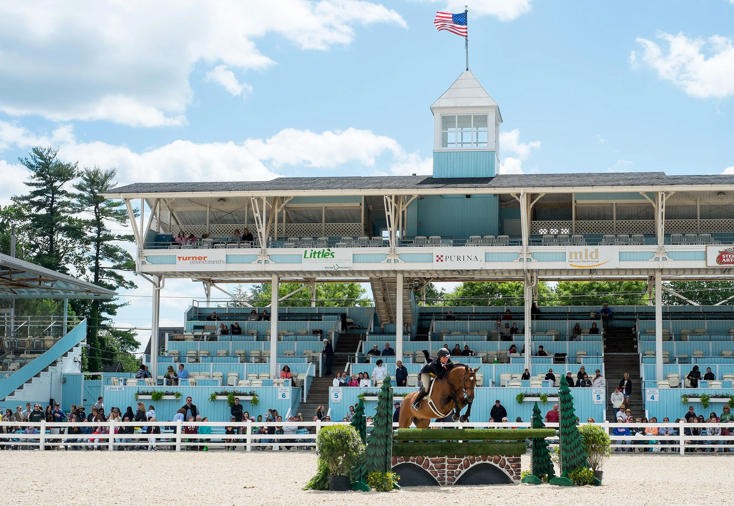 devon-horse-show.jpg