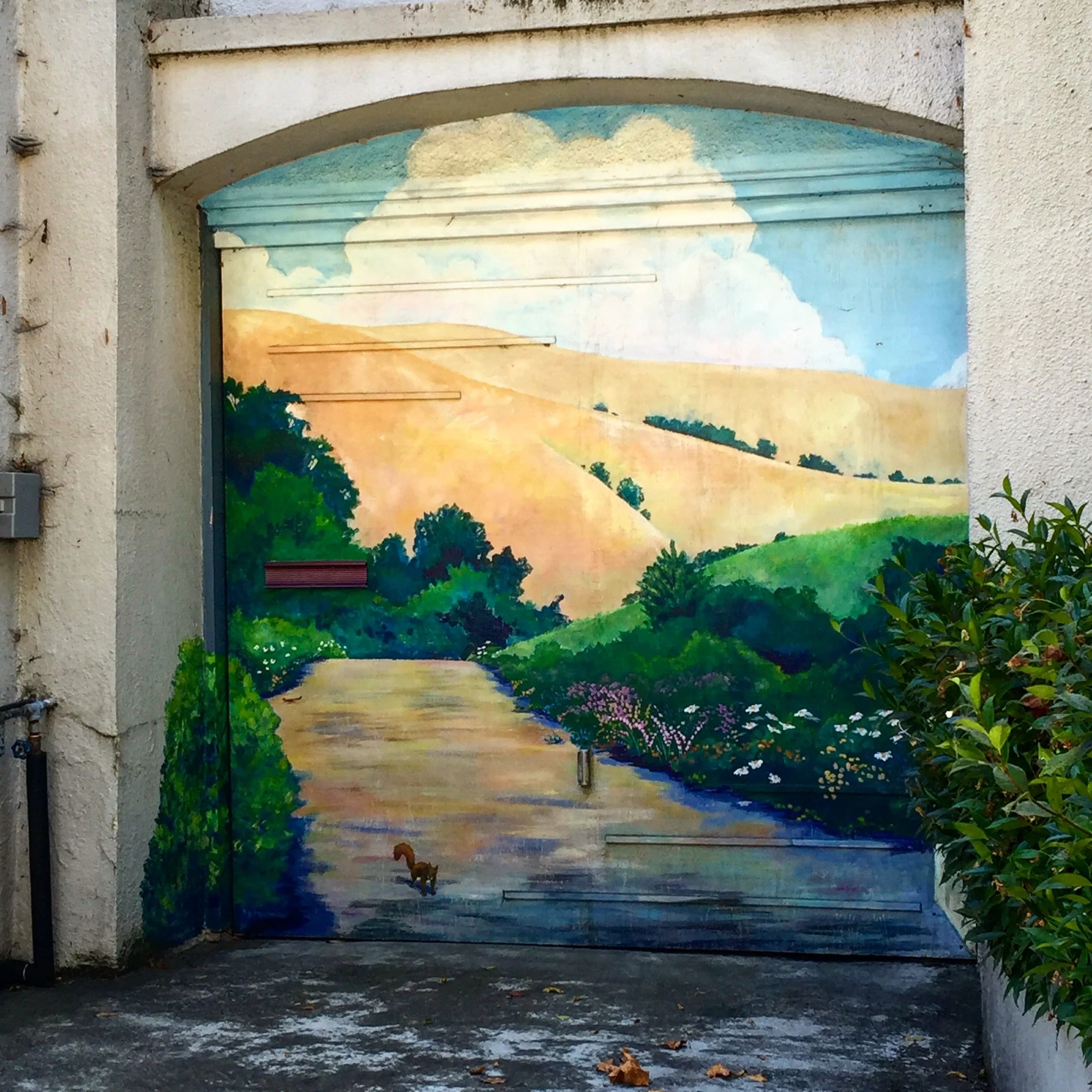 Marin Ave.