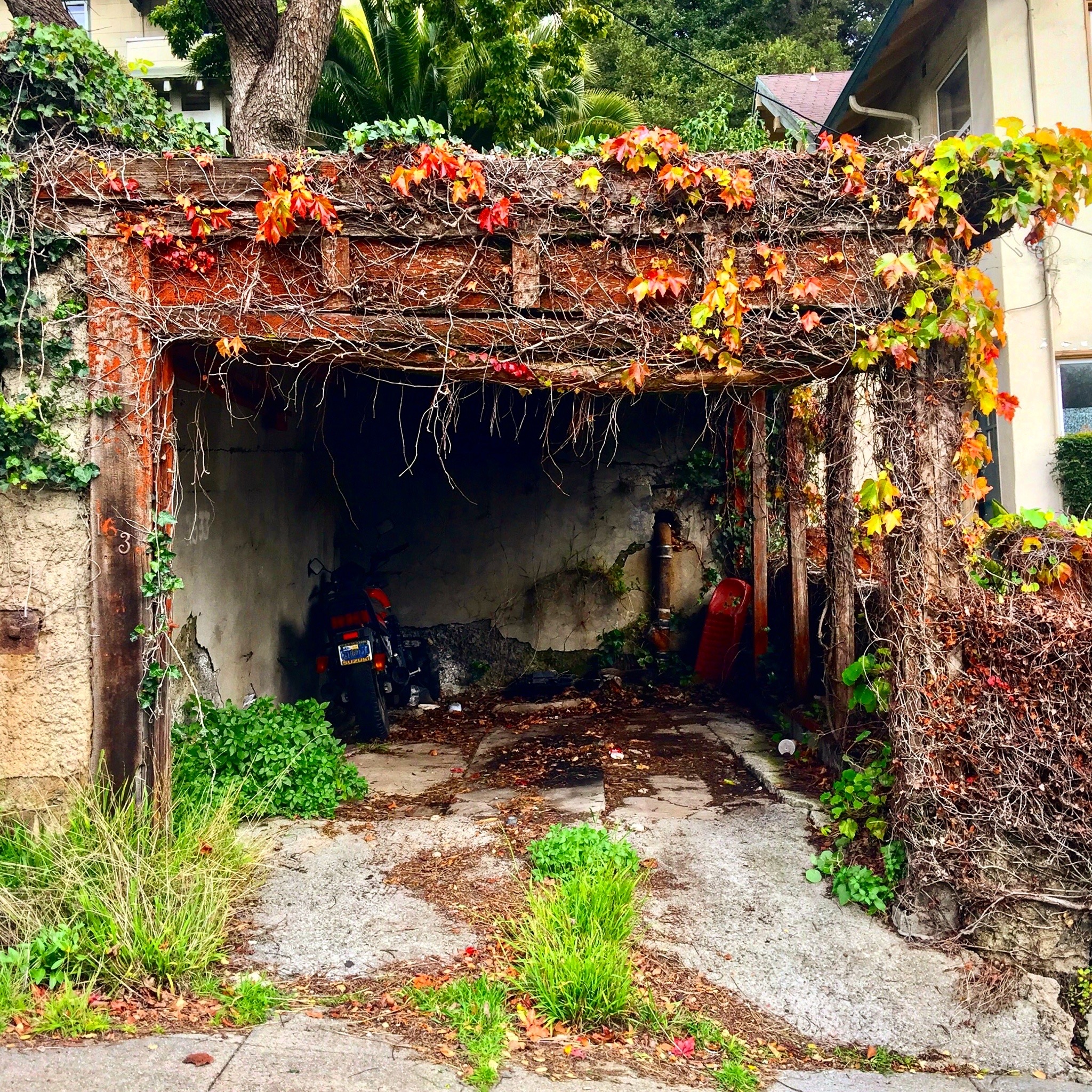  Garages change with the seasons. In a more lush time of year, this one looks  like this . 