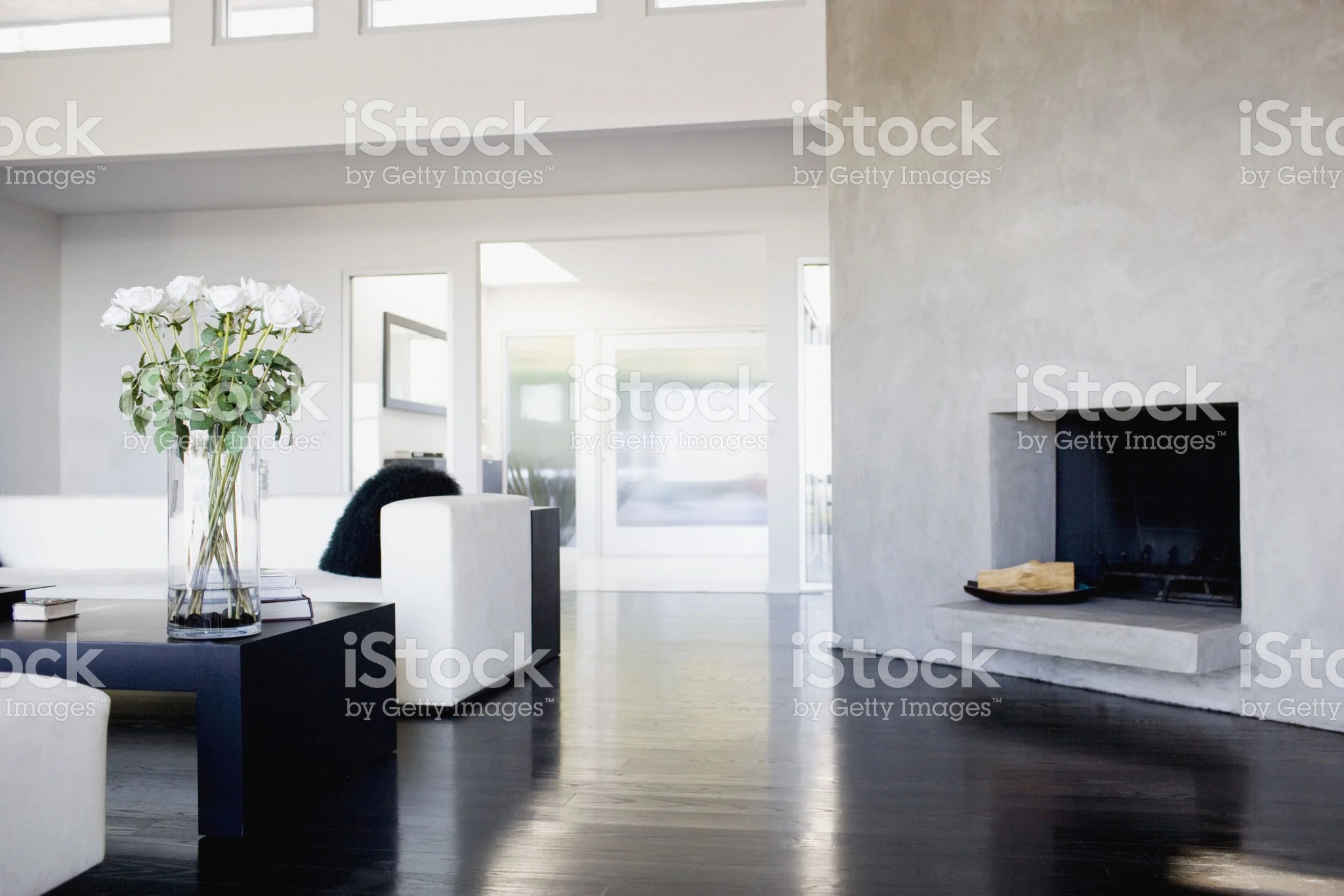 88621040.jpg