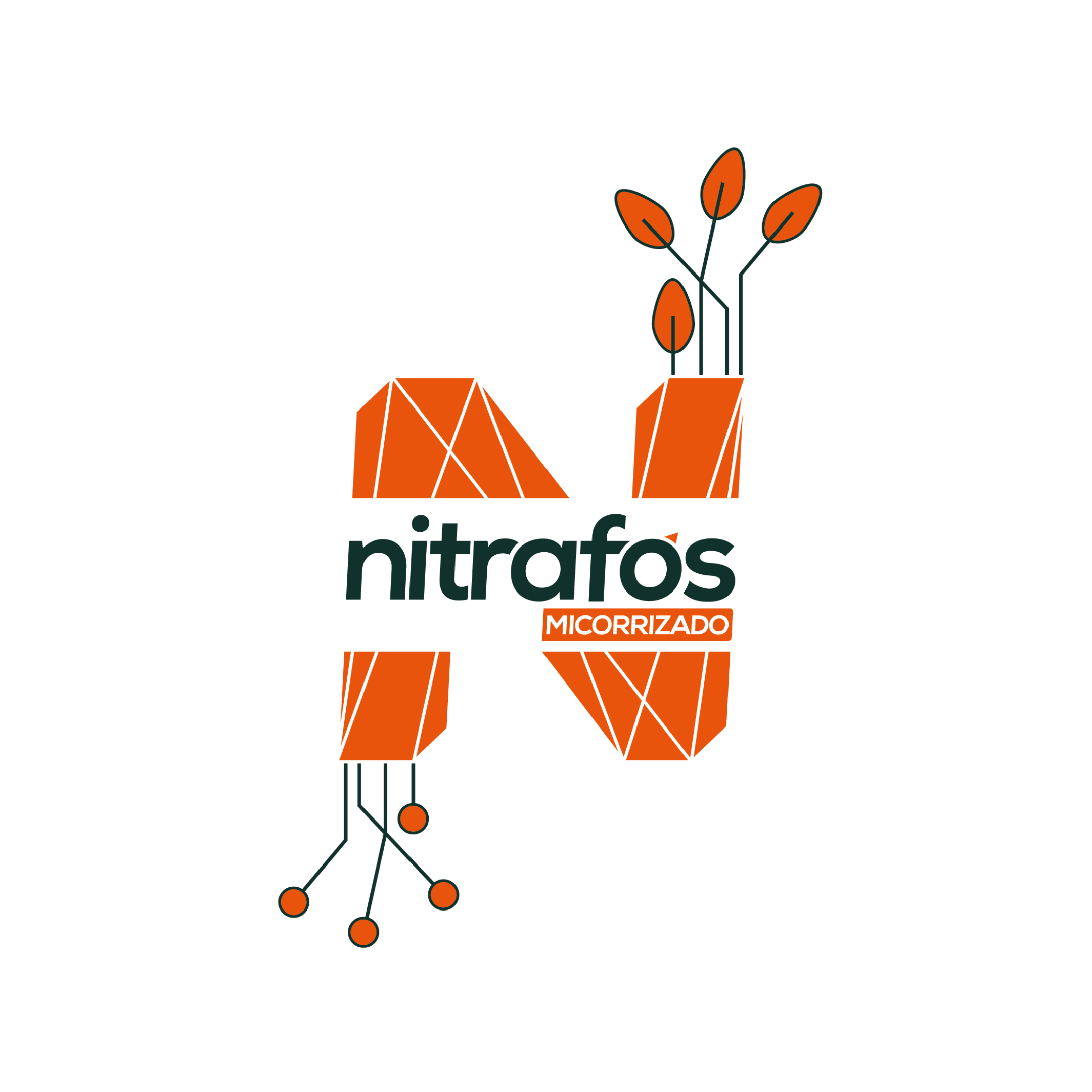 Nitrafos Micorrizado1.png