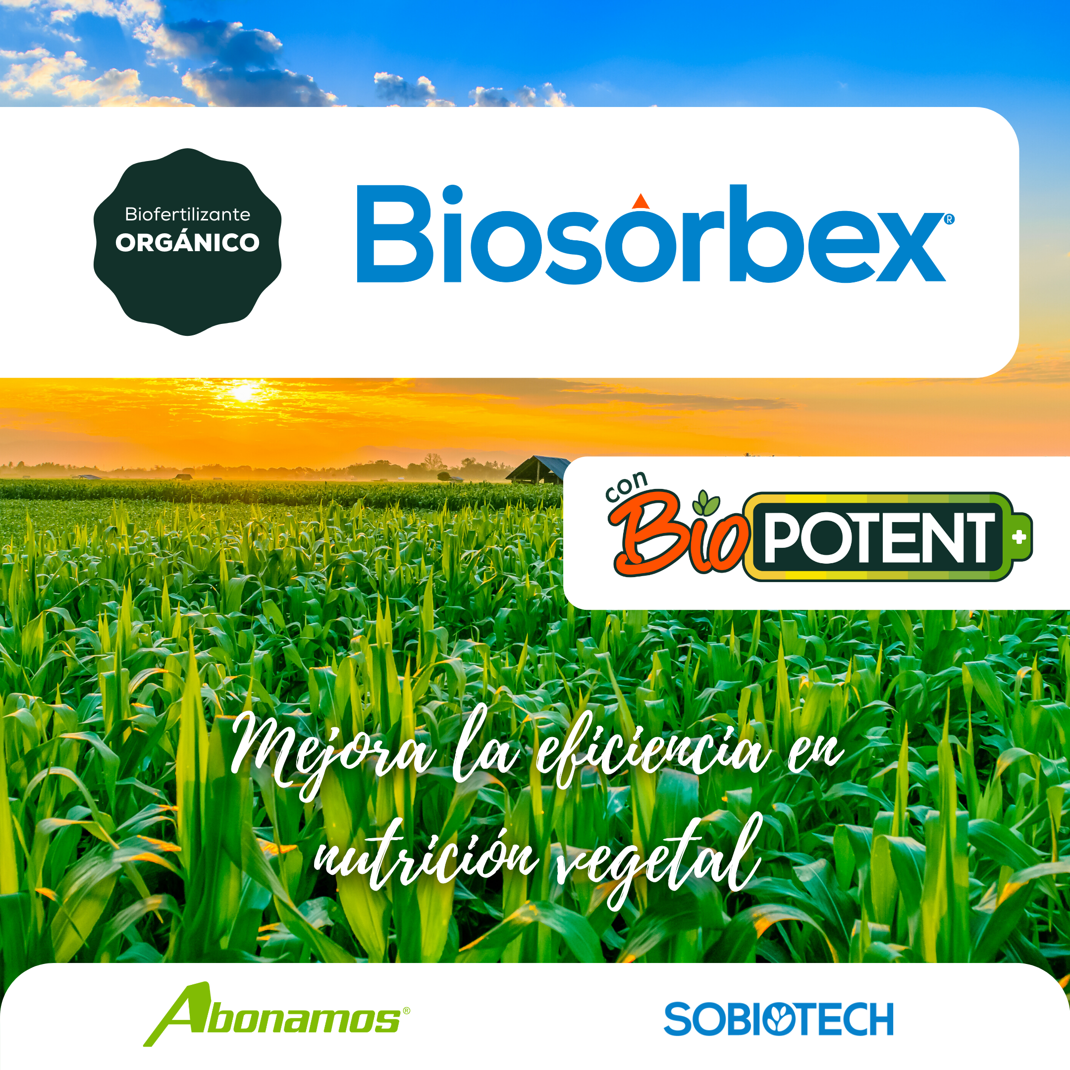 Biofertilizante líquido Biosorbex con Microorganismos3.png