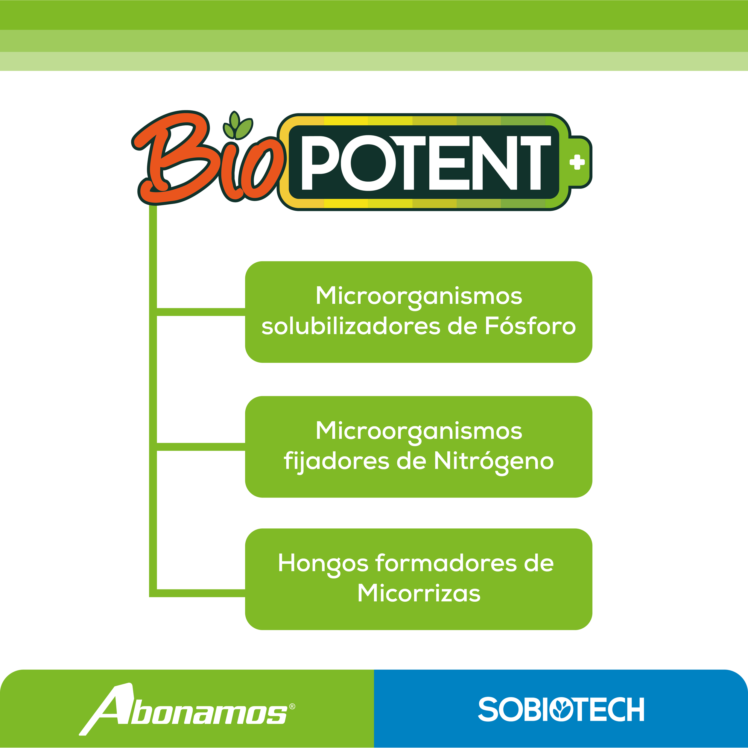 BIOPOTENT Y QUE CONTIENE INSTAGRAM (1).png