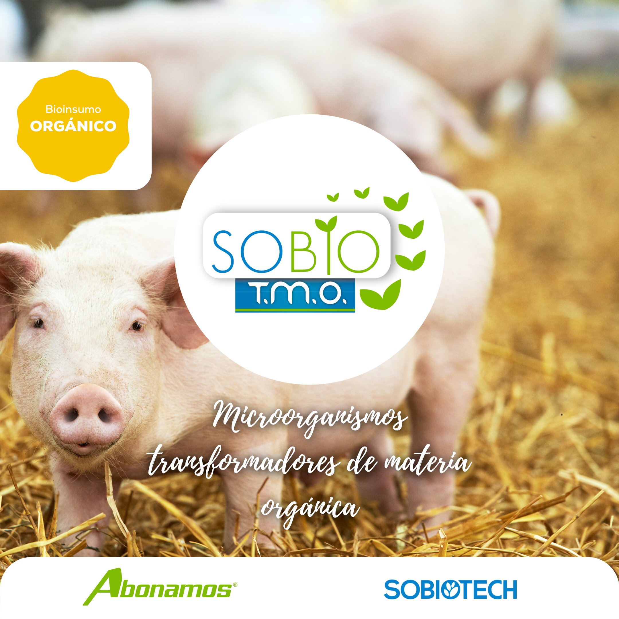 2 Bioinsumo orgánico con microorganismos Sobio TMO de Sobiotech.png