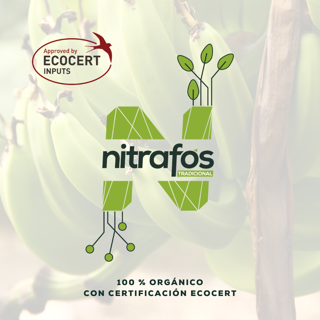 Logo Nitrafos.png