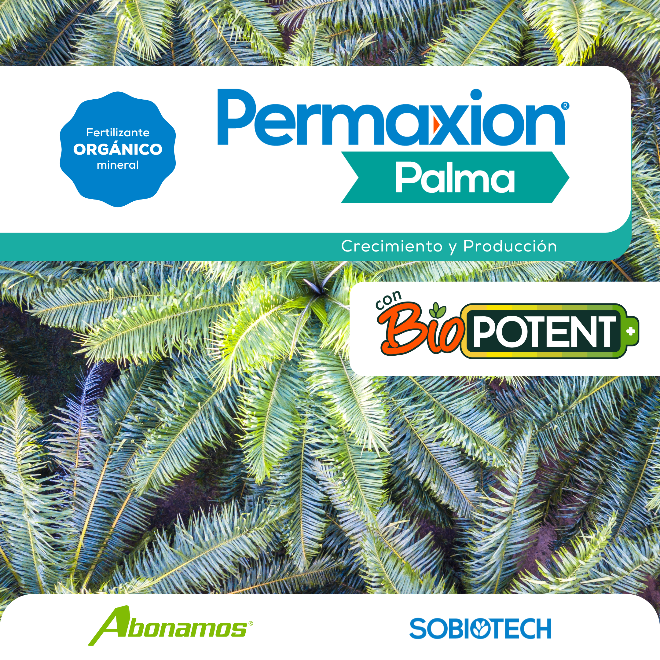 Permaxion Palma con Biopotent.png