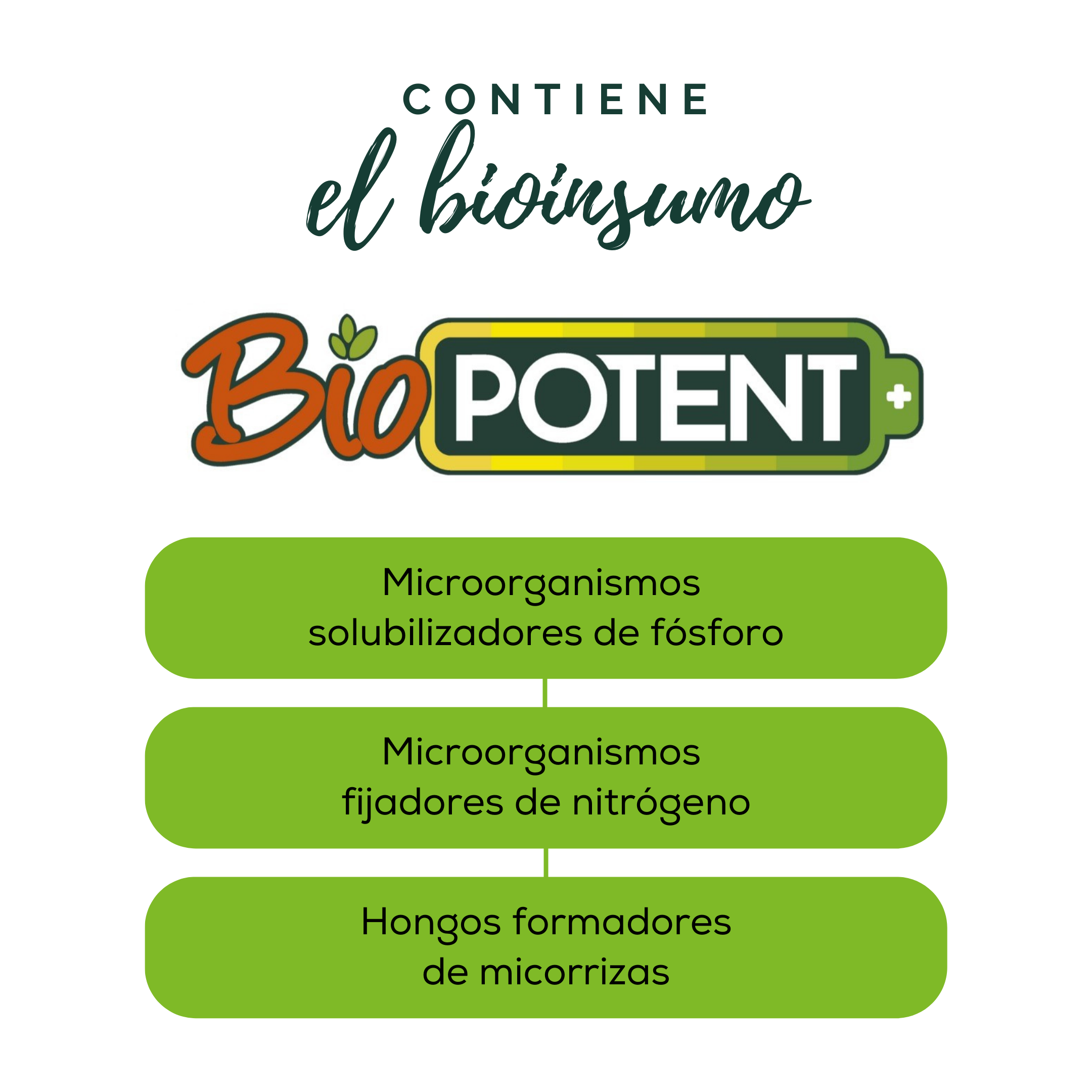 Permaxion con Biopotent.png