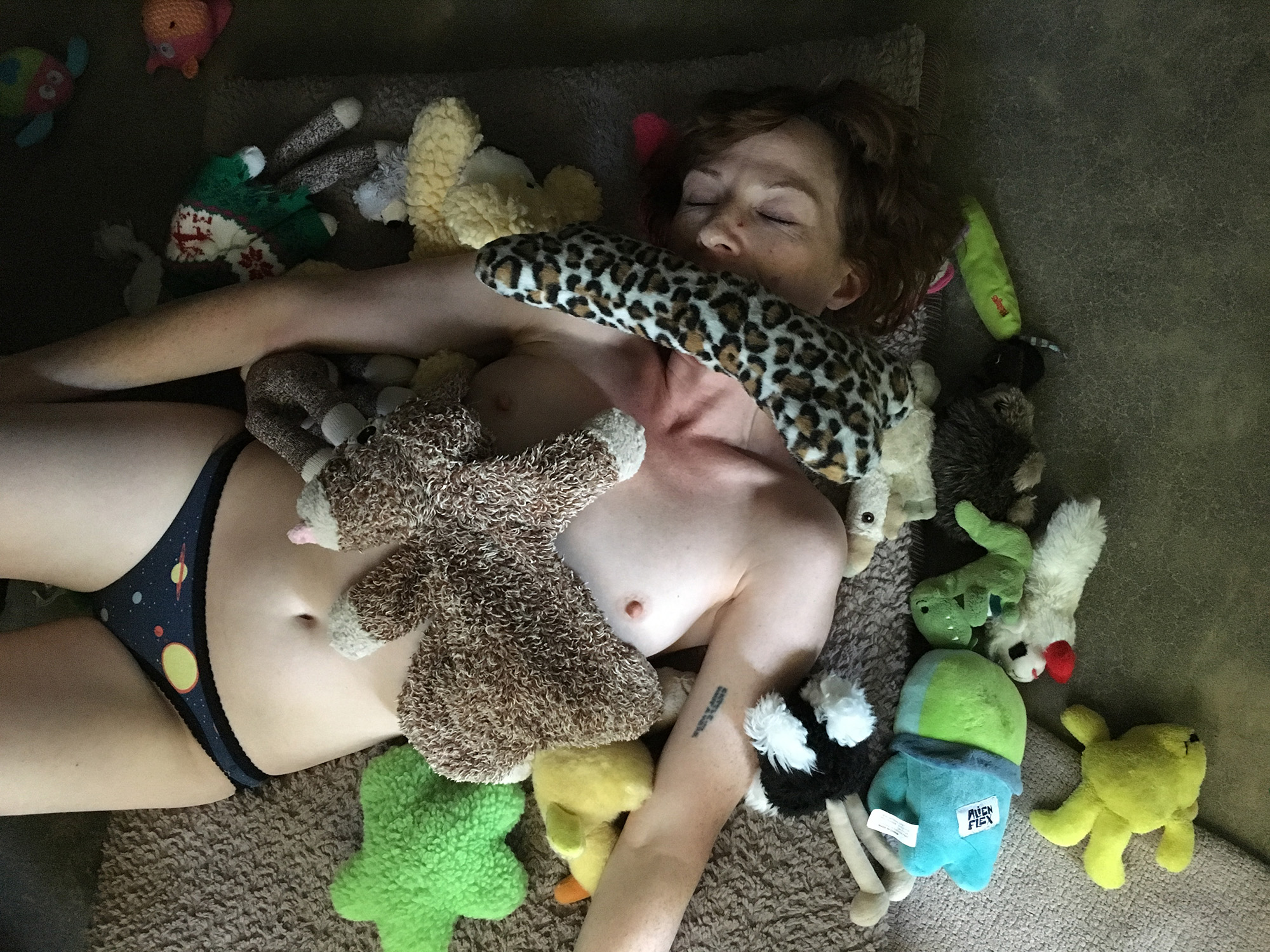 PW17StuffedAnimalsSized3.jpg