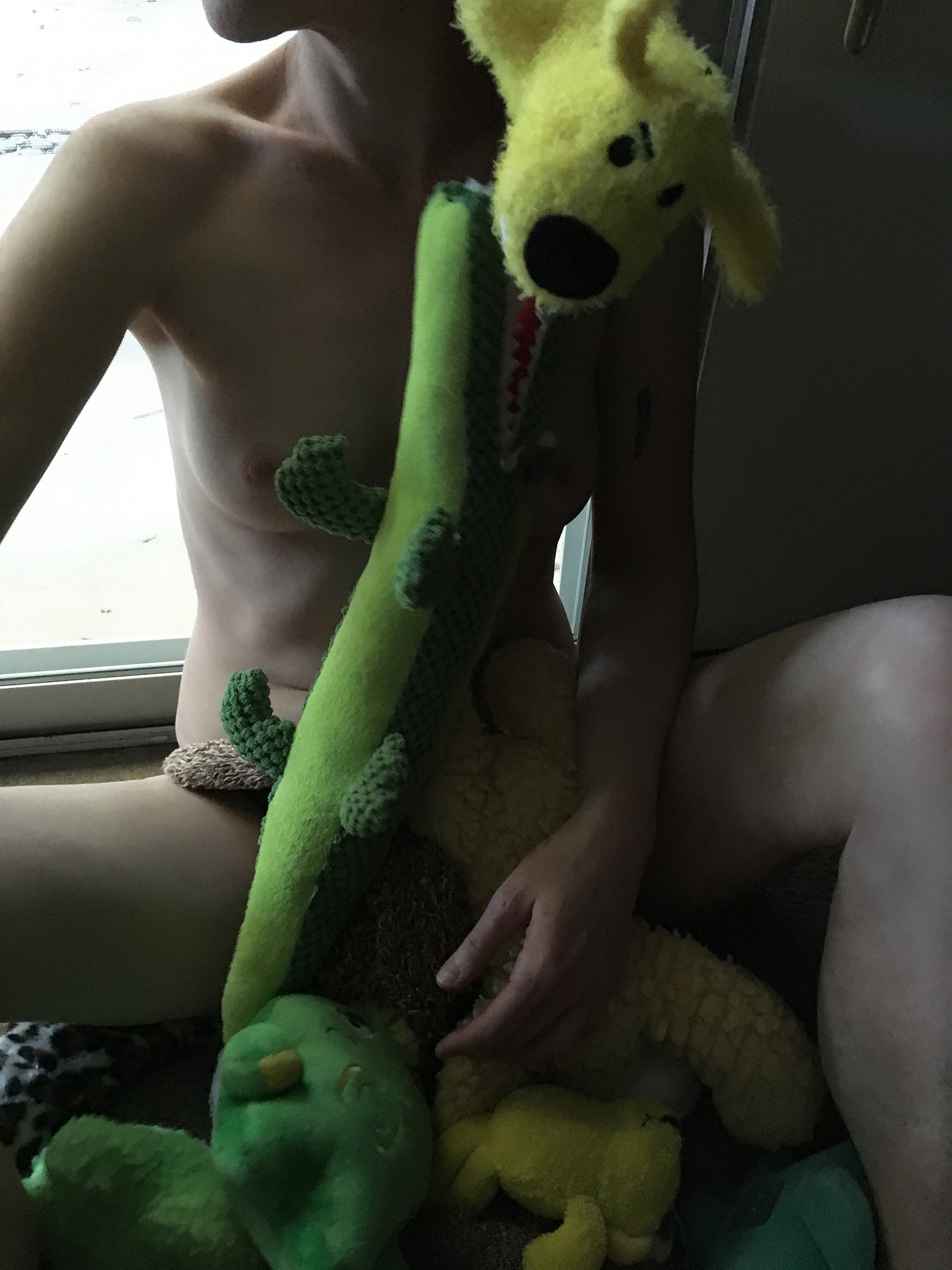 PW17StuffedAnimalSized4.jpg