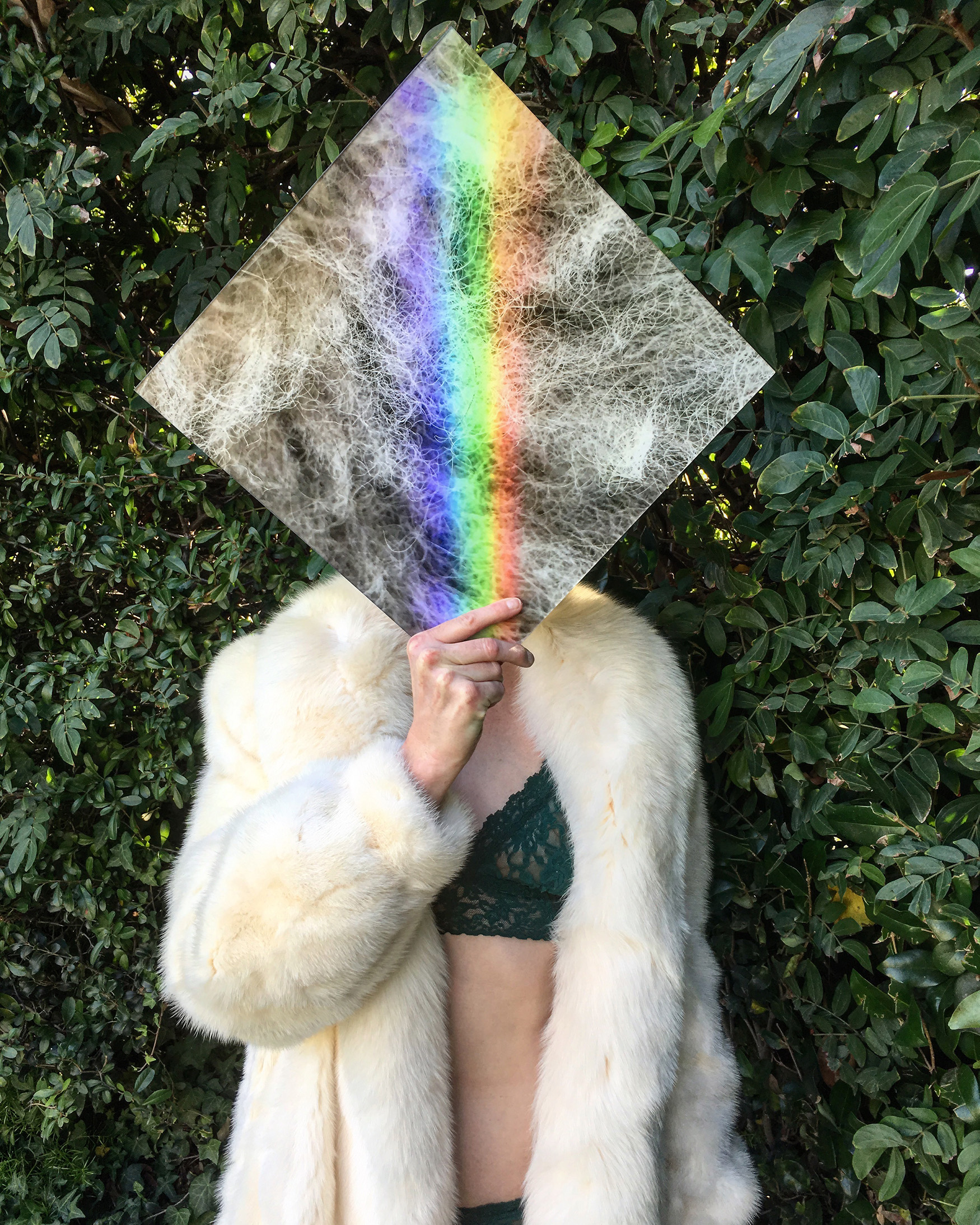 PW17FawnRainbowSized.jpg