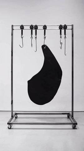 Animated GIF-downsized_large.gif