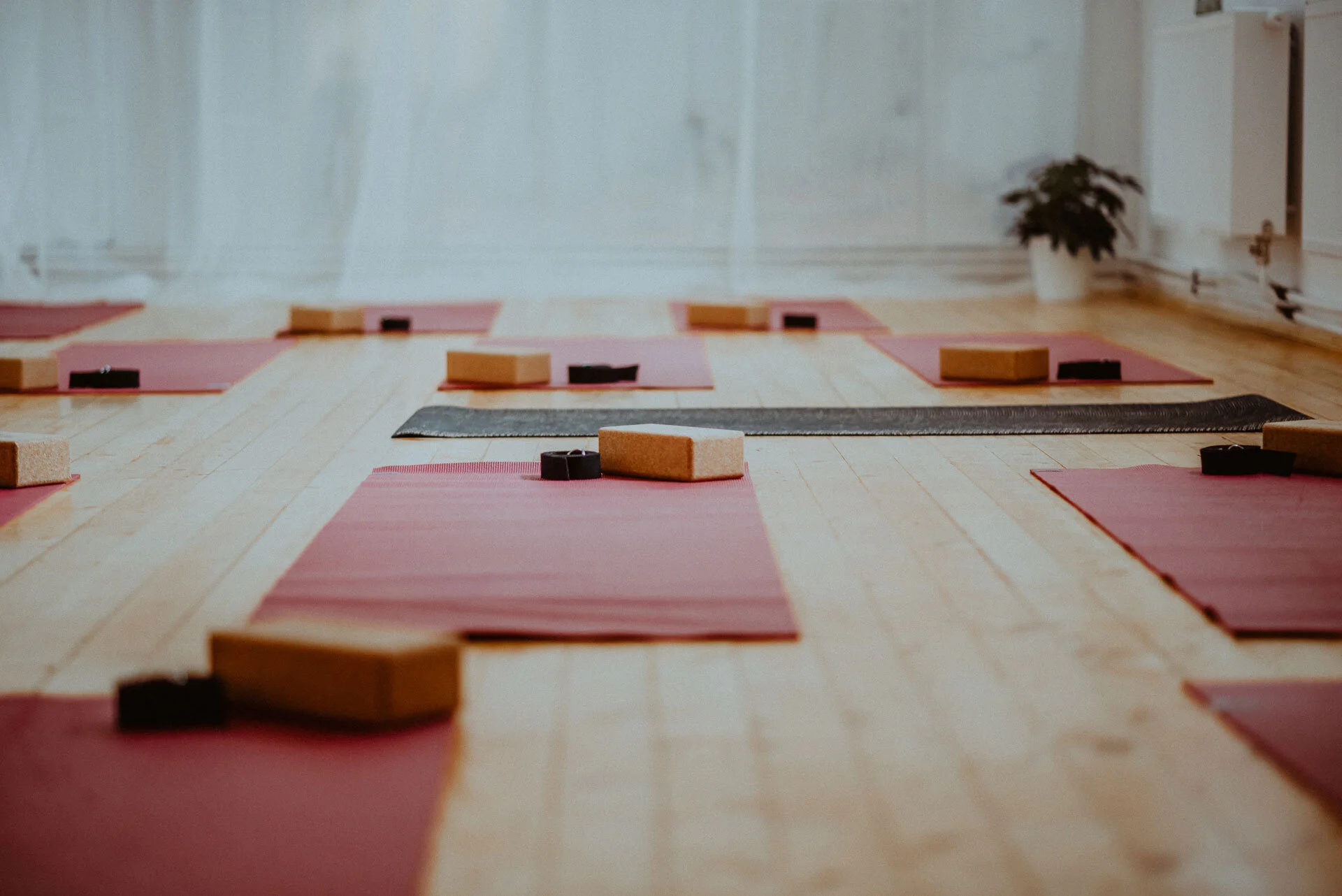 Prague Yoga Collective