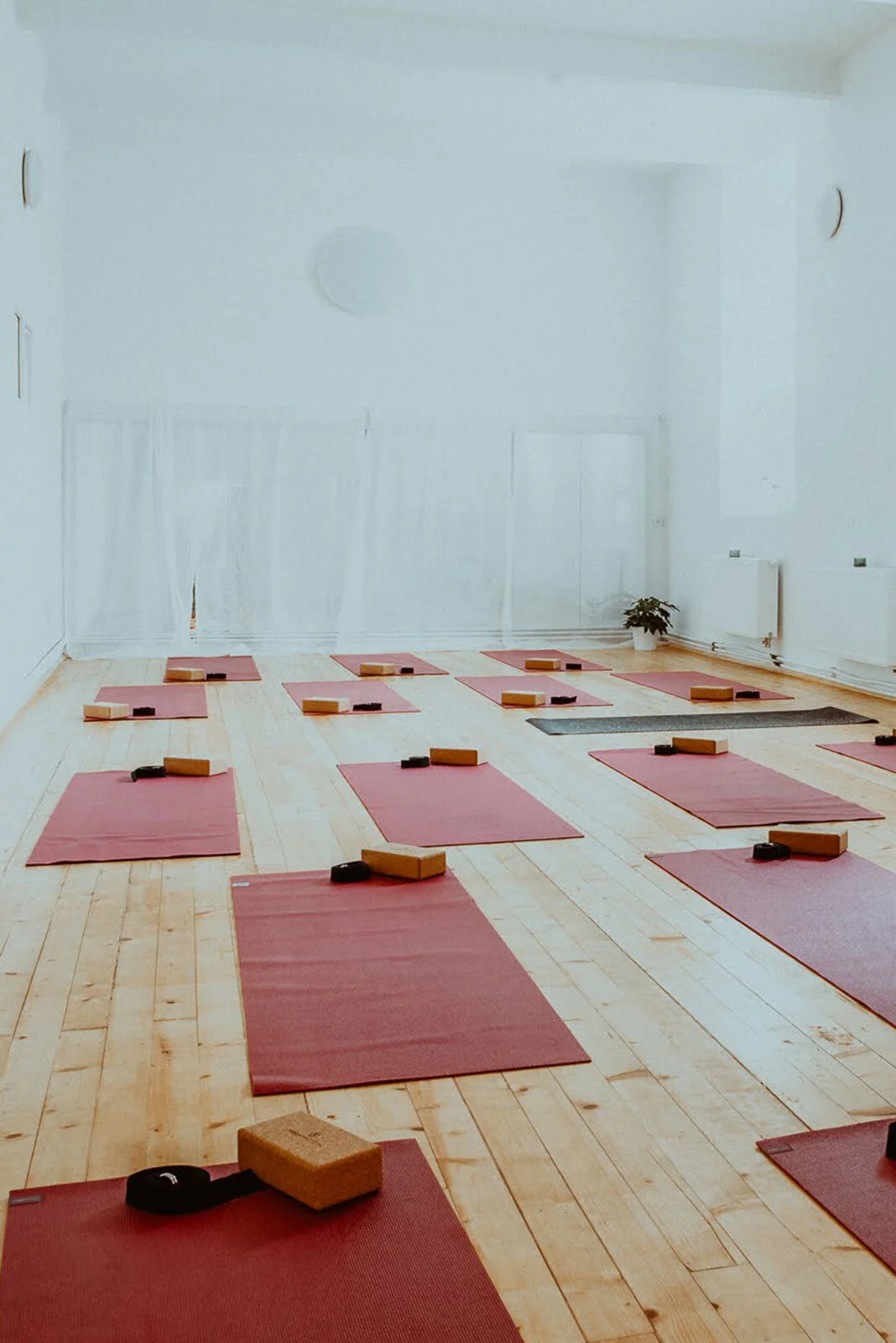 Prague_Yoga_Collective_Studio_Vinohrady.jpg