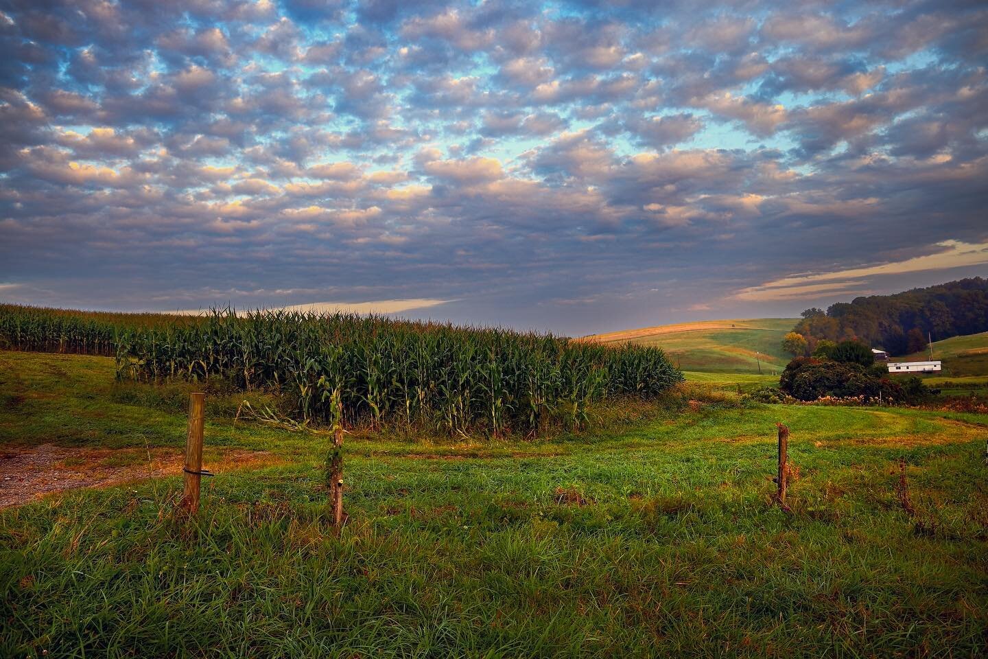 &ldquo;Morning Light in the Cornfield&rdquo;
Plum Boro, Pennsylvania
2023

After a vibrant sunrise, the clouds complemented the patchiness of the cornfield of a nearby farm on the morning of September 21, 2023. 

#canon #landscapephotography #sunrise