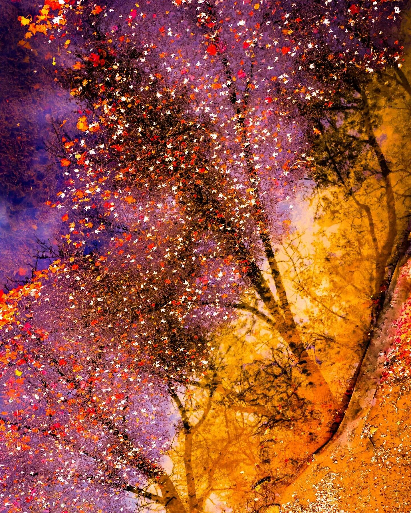 &ldquo;Leaves and Lava&rdquo;
Oakmont, Pennsylvania
2024