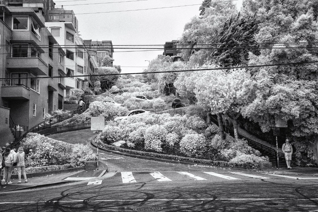 &ldquo;Infrared Curves of Lombard Street&rdquo;
Lombard Street
San Francisco, California
Infrared, 720nm
2024

It&rsquo;s been a while since sharing anything, but its time, once again, to start sharing. This photo was taken at the bottom of the curvy