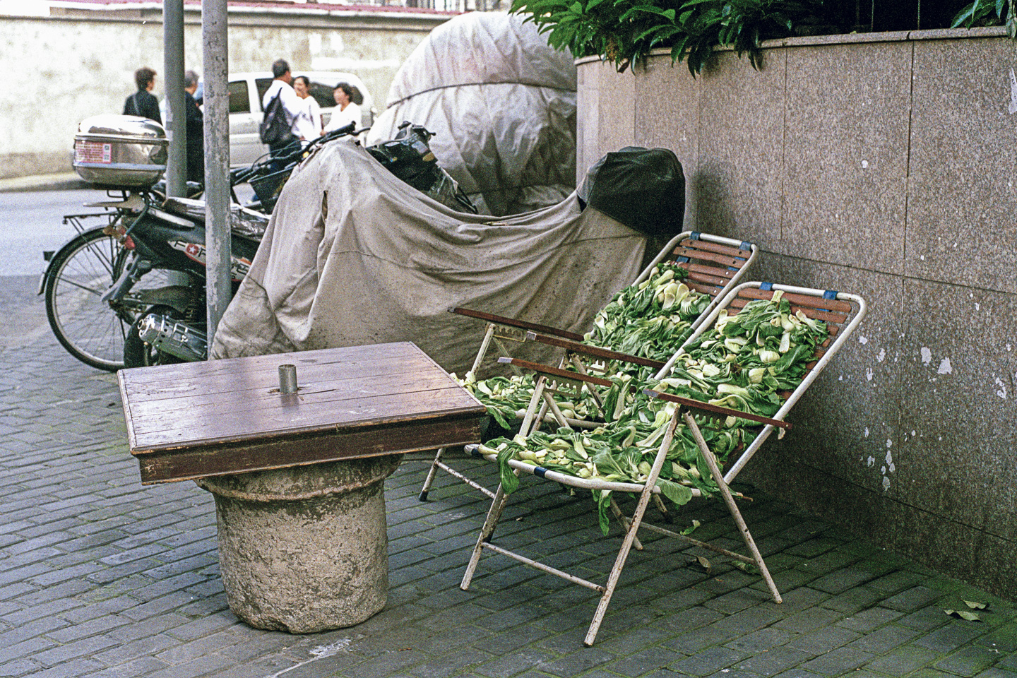 a02557.17.jpg