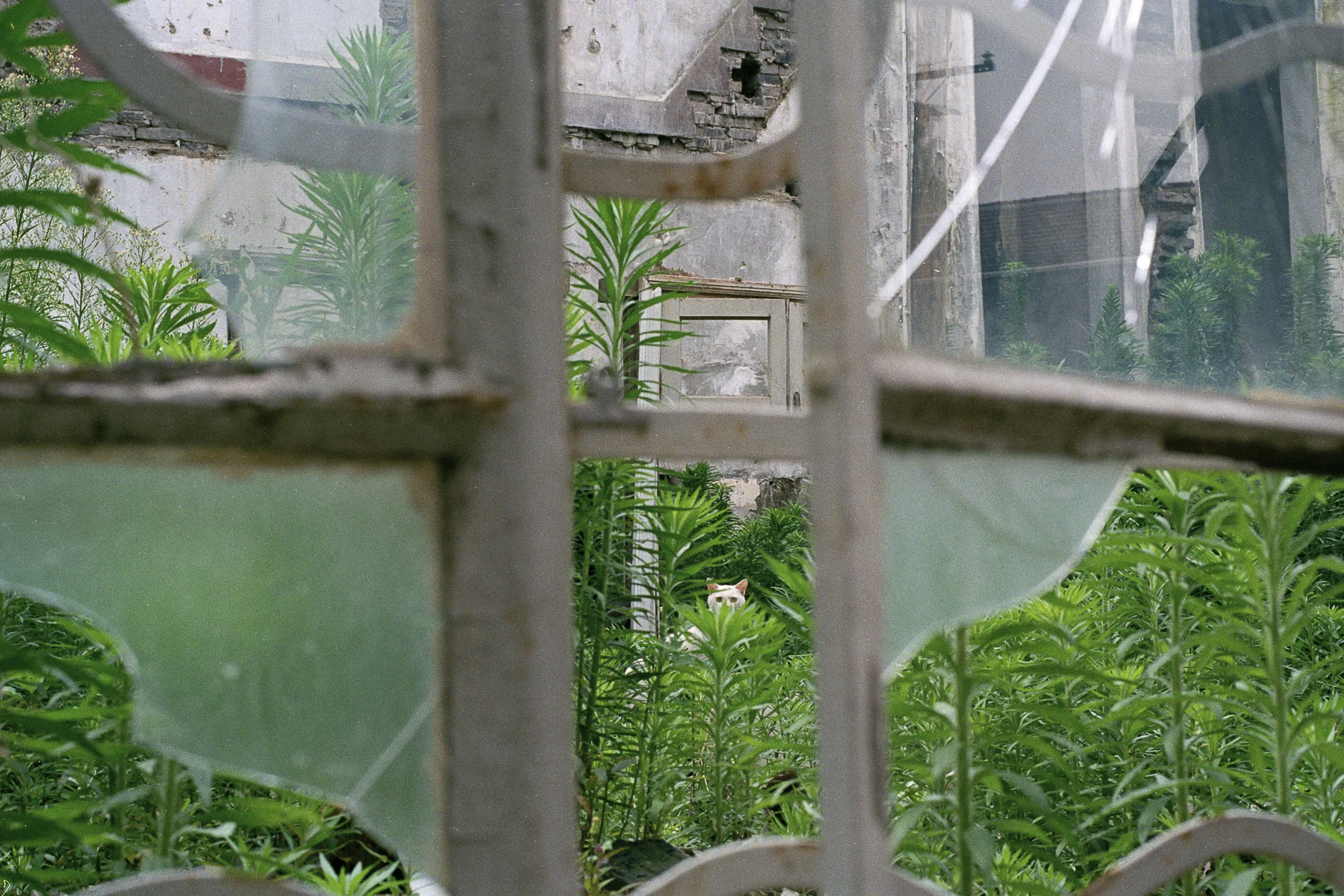 a03924.20-1.jpg