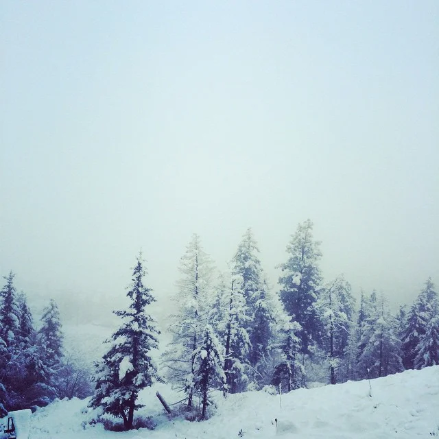 wintersnow2014.jpg